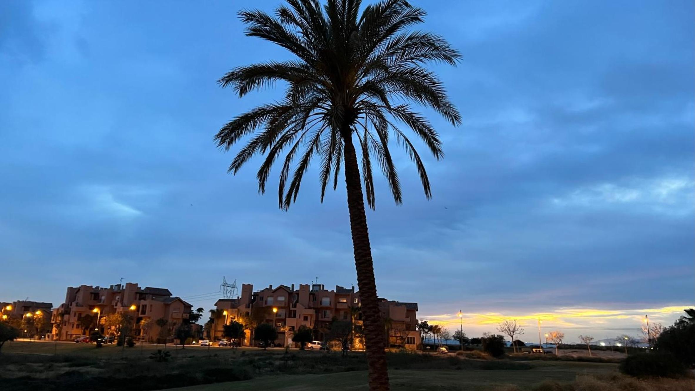 other