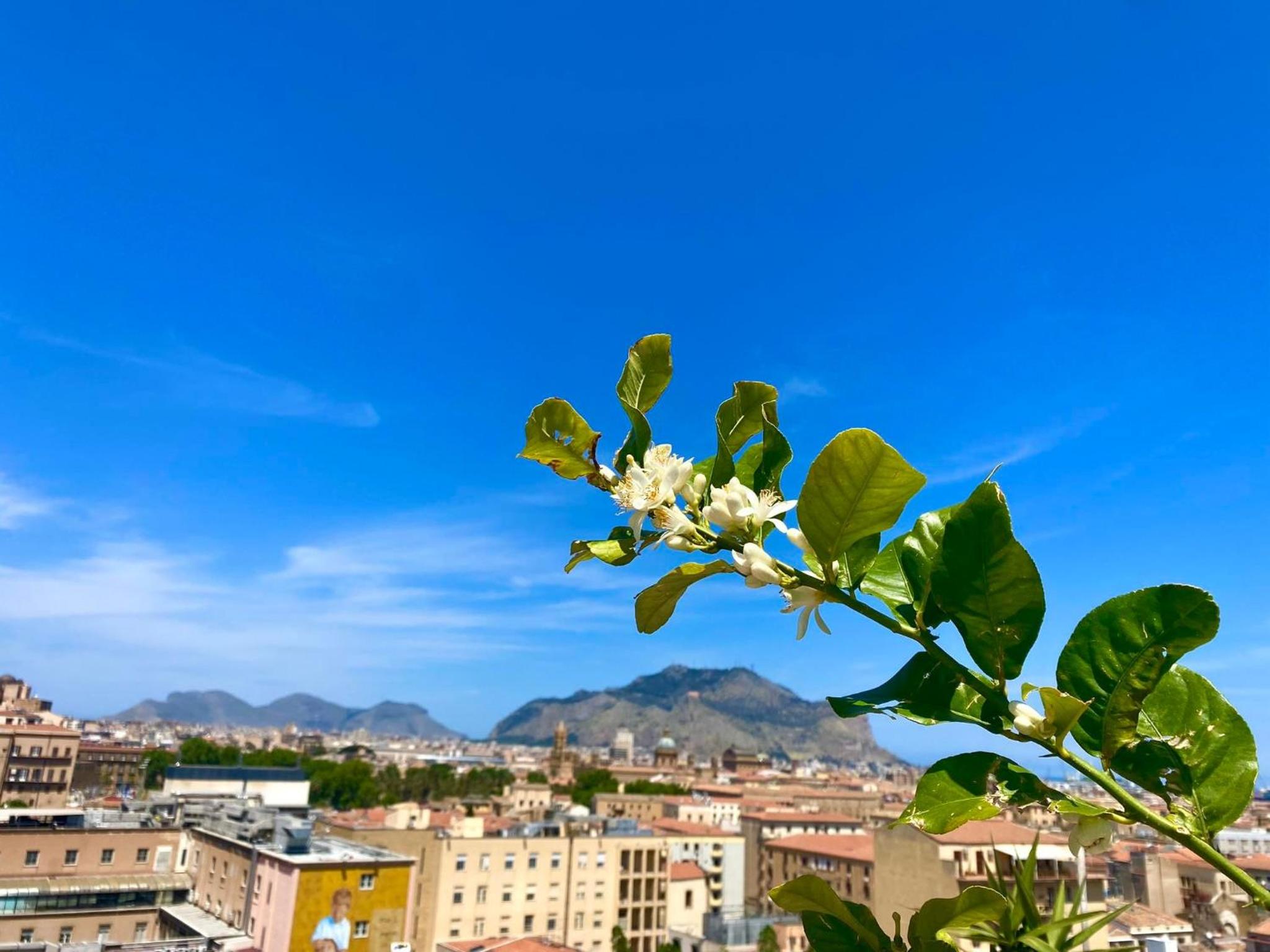 LeAlbe di Sicilia