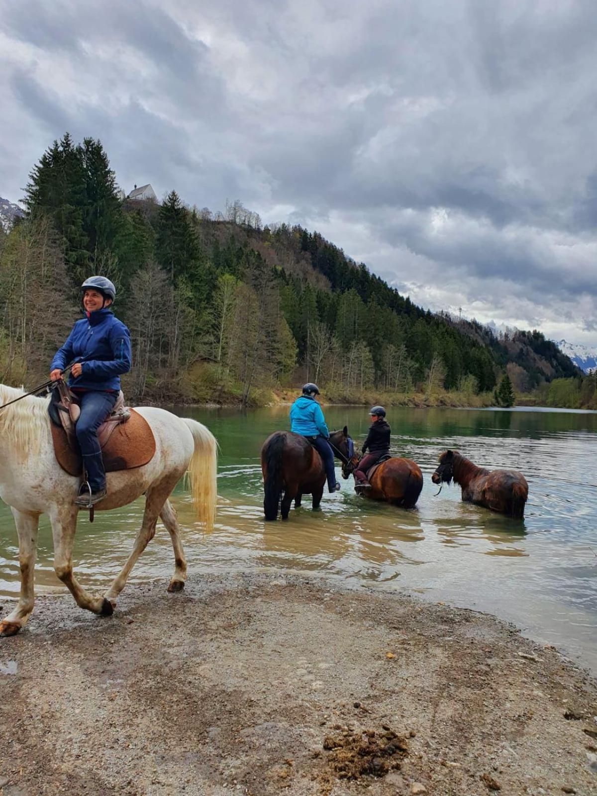 Ponyhof Schöllang