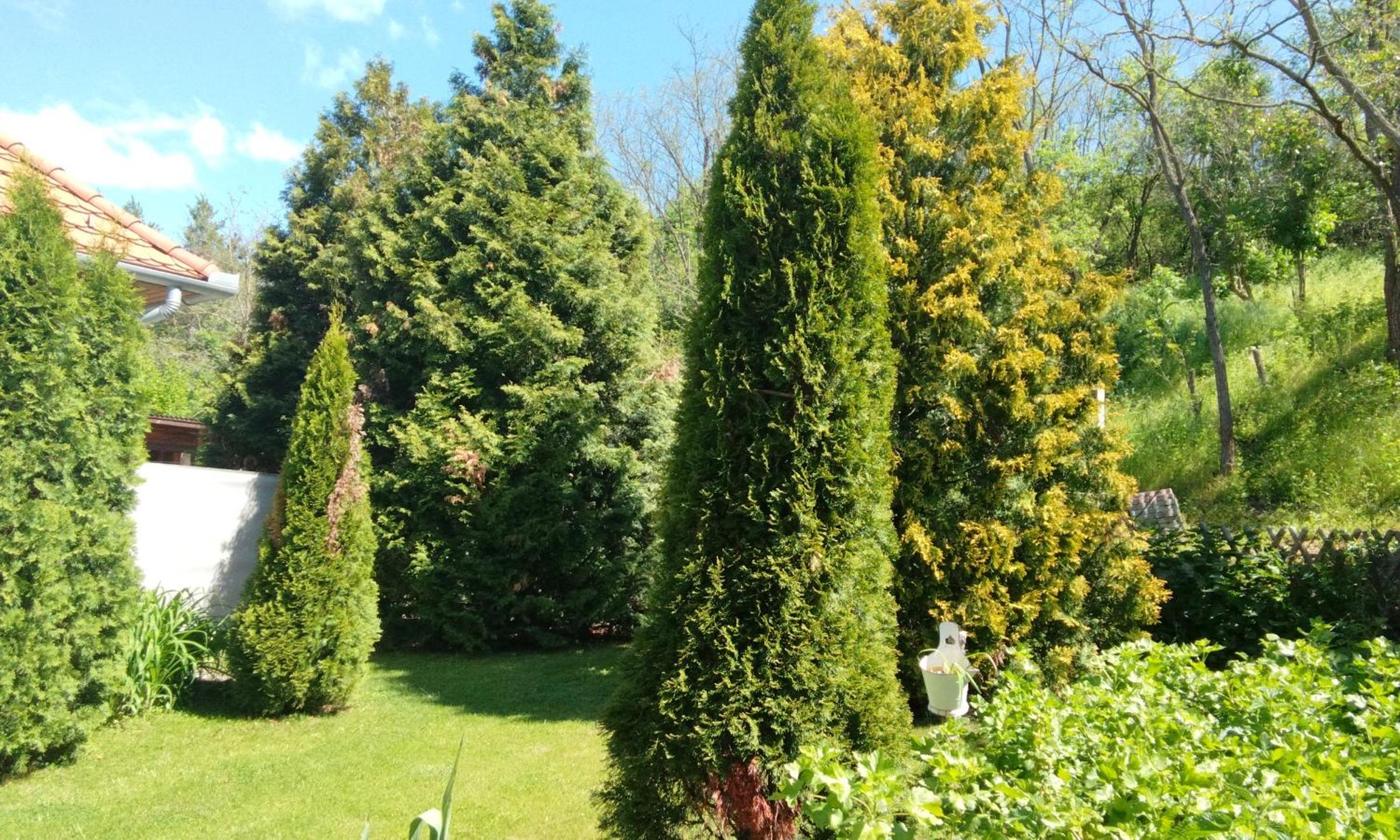 Harmony Vendégház Egerszalók view 4