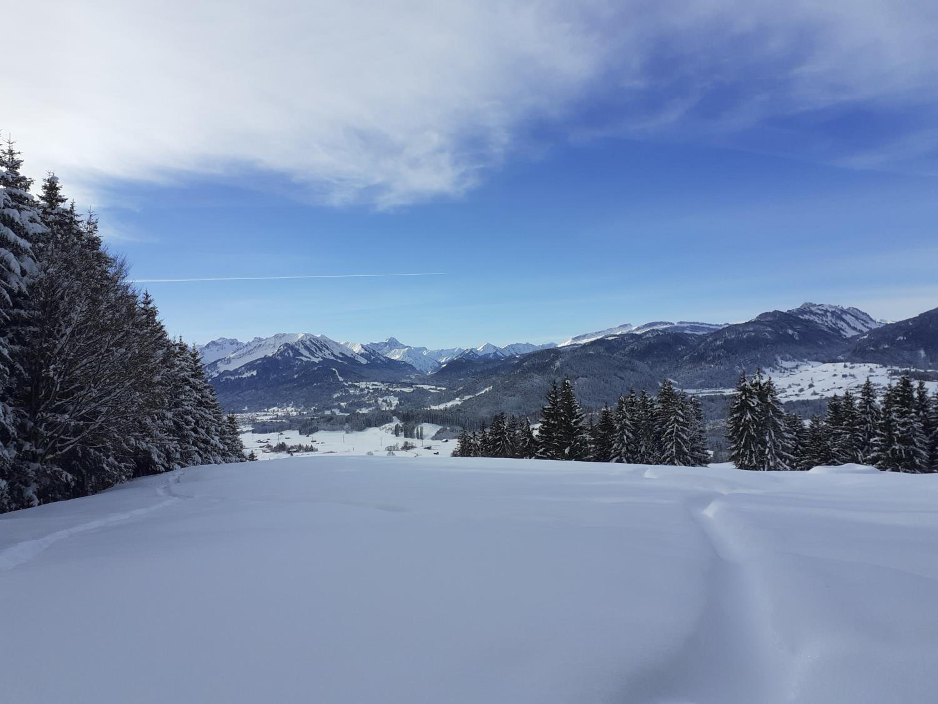 Ponyhof Schöllang