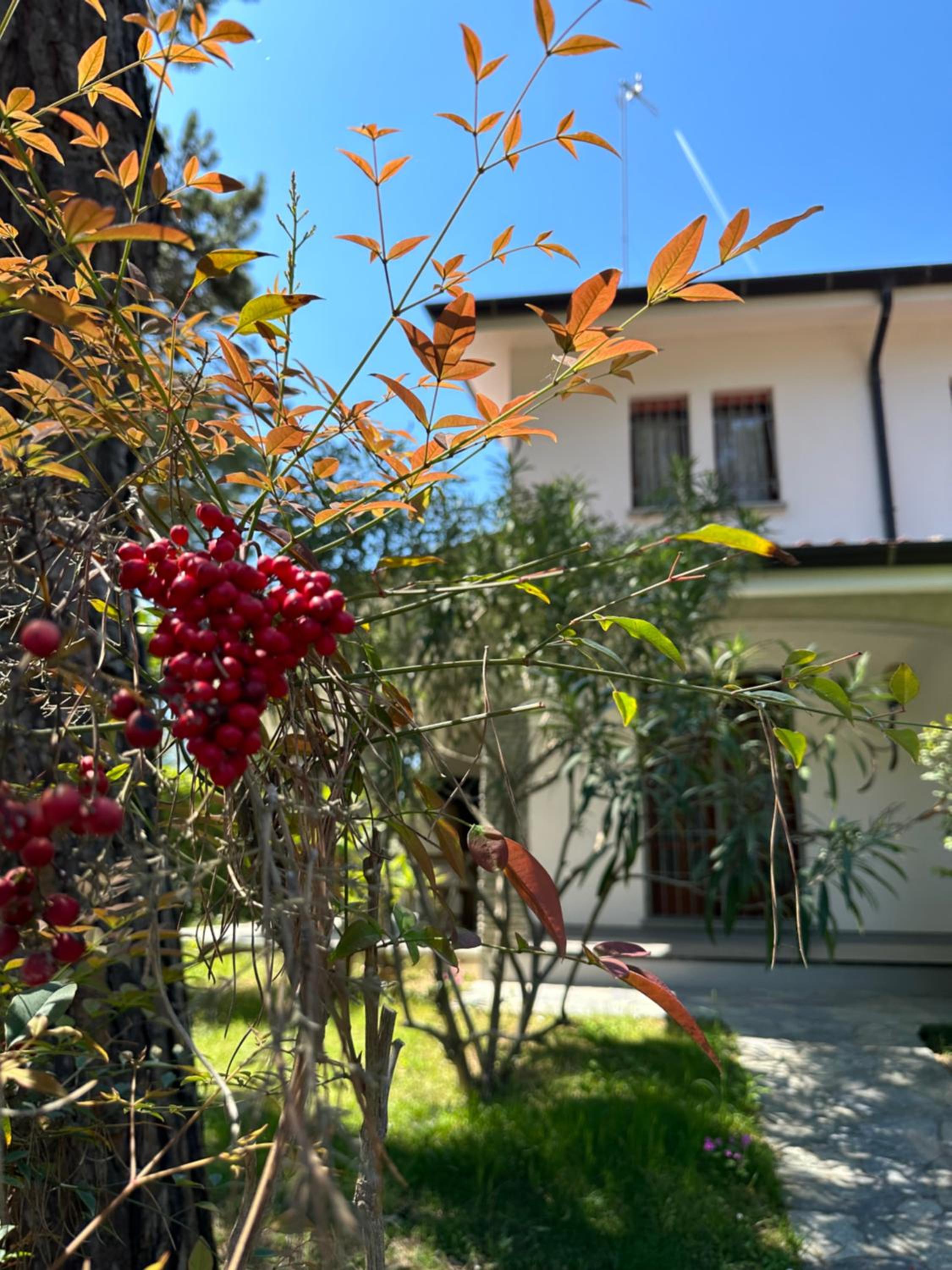 Villa Riviera by the Sea view 3