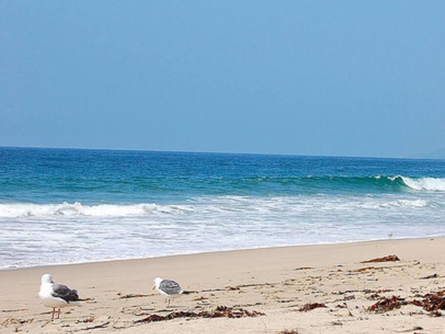 30 PCT OFF!! Limited Time! Malibu Ocean View Villa with Hot Tub, Mins to Beach Hiking Trails, Coastal Lifestyle - Property Image 16