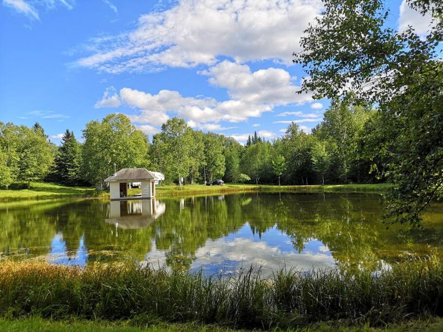 Chalet le Coyote Lac, Micro Ferme, Sentier Du Domaine, Vue Sur Les Monts, Idéal 2 4 Personnes