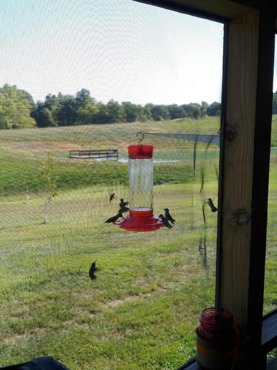 Kentucky Hills Country Cottage - Country Life