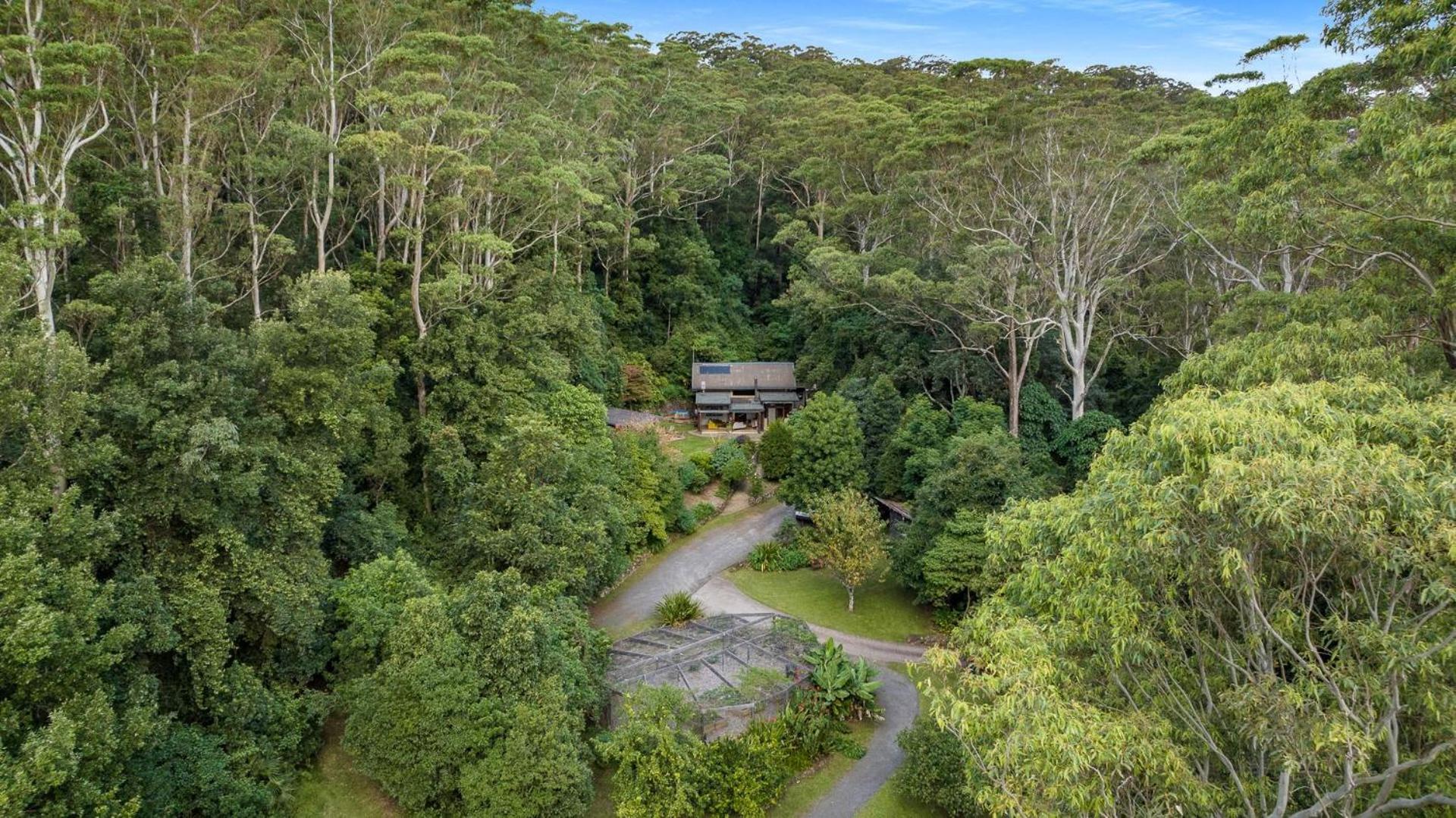 Lyra Kangaroo Valley