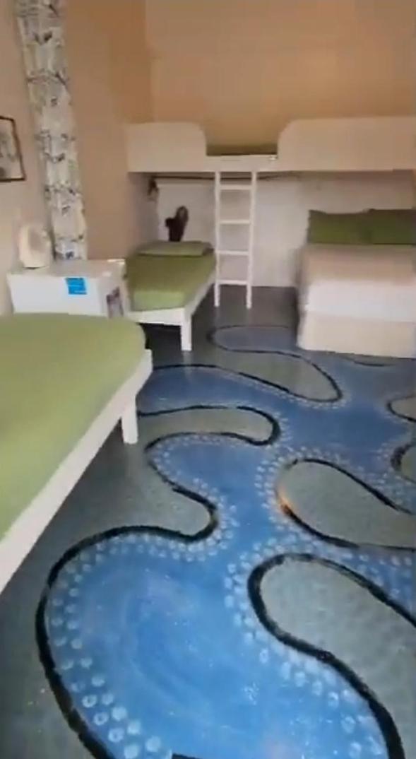 Bay of Islands Holiday Park