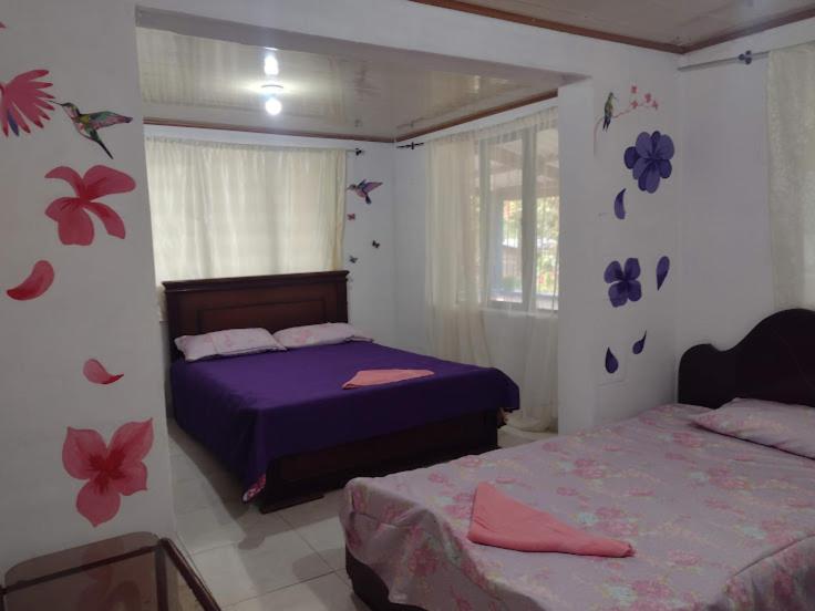 hostal Sueño Paraiso- Observatorio astronómico