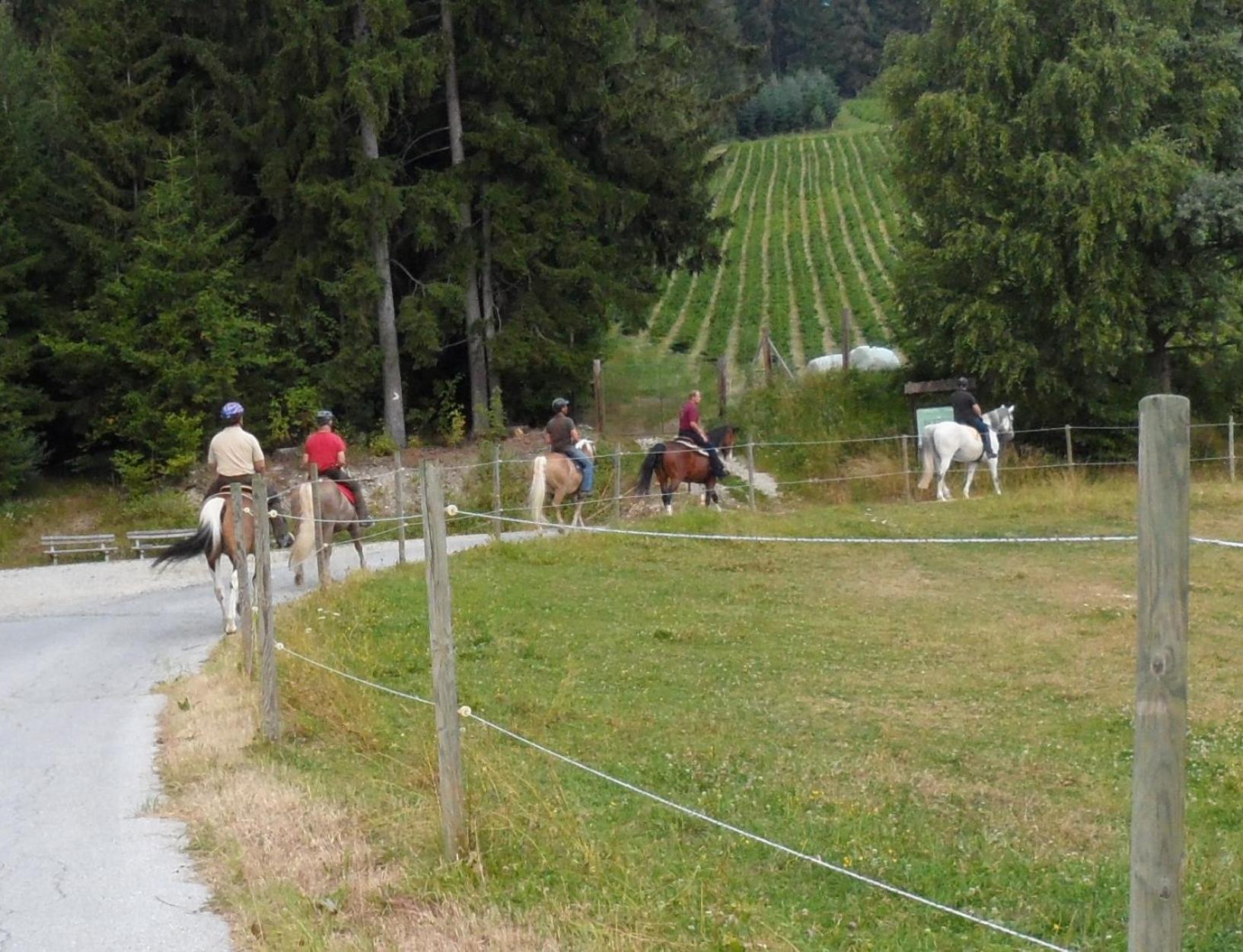 Urlaub am Bauernhof Familie Kitting