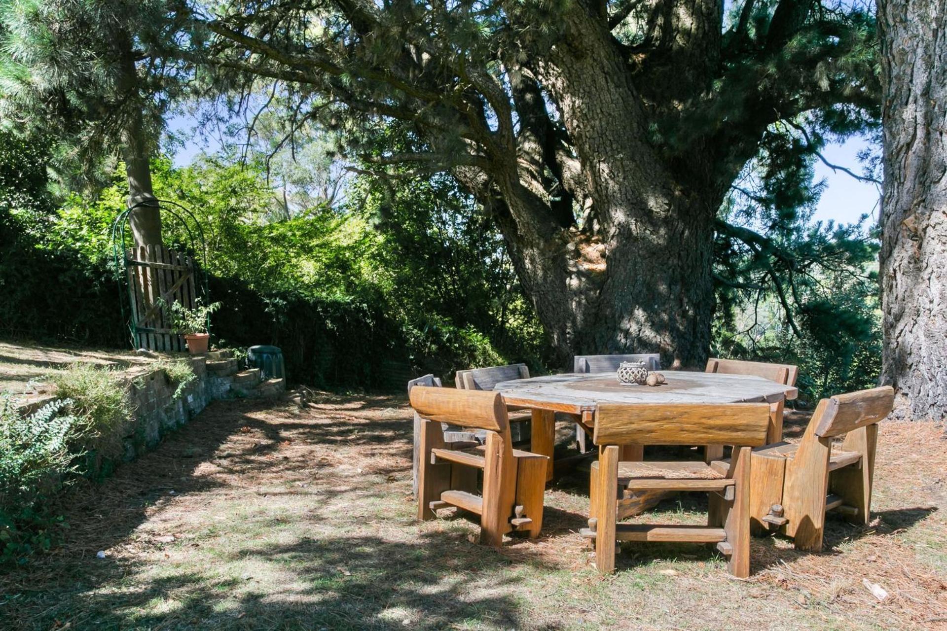 Carinya Cottage view 2