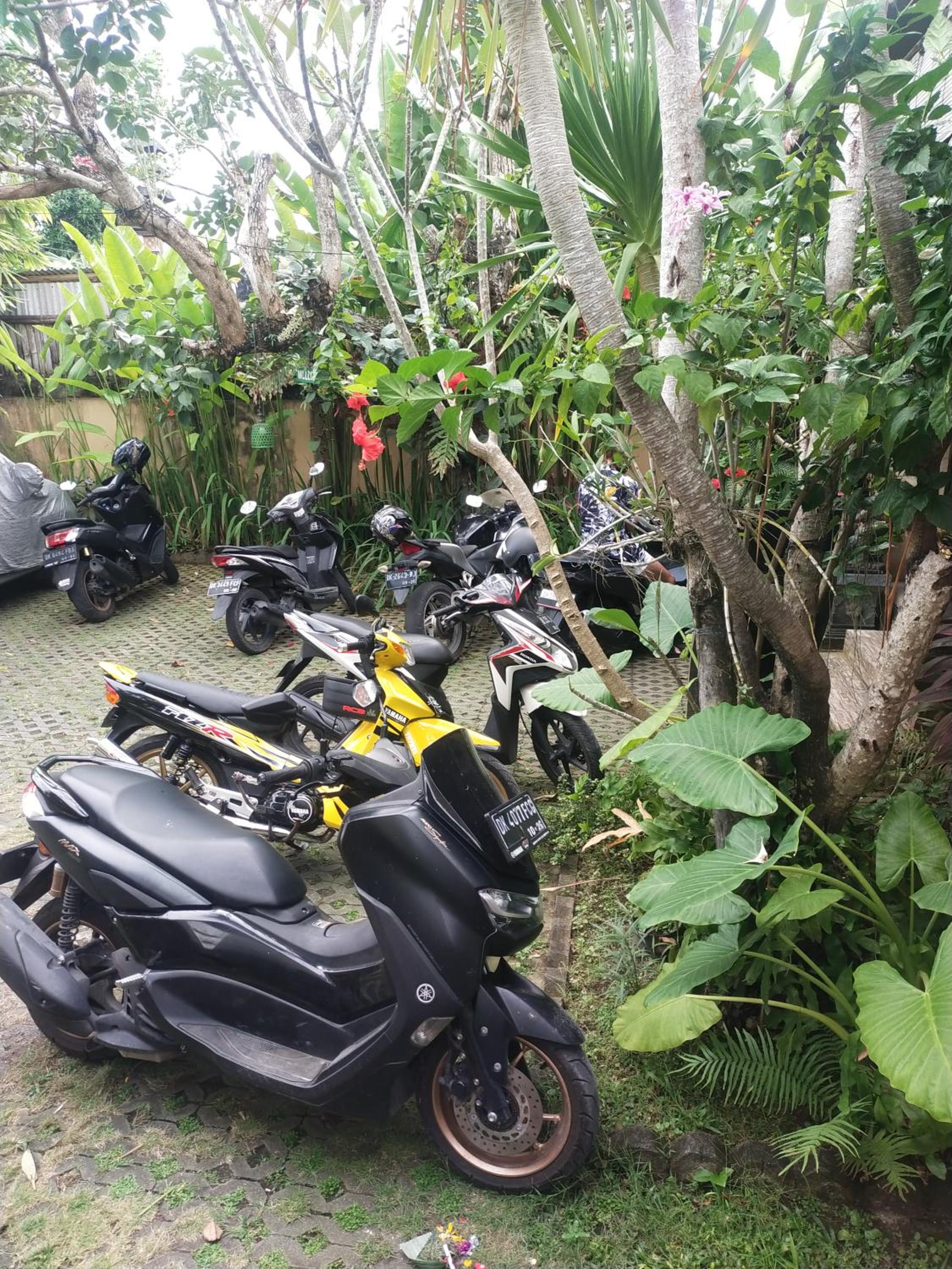 parking