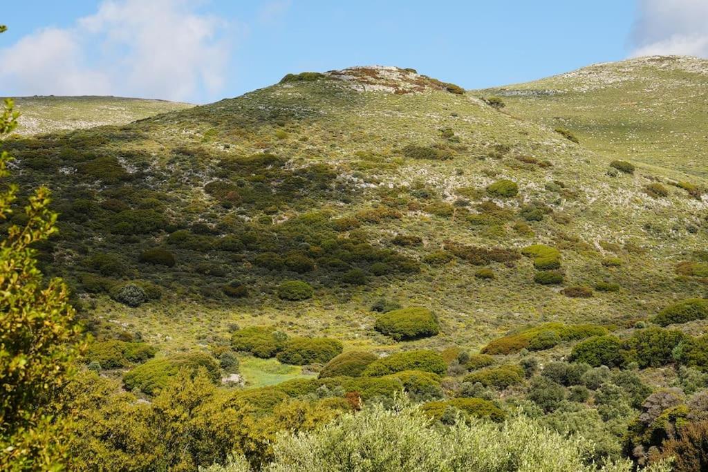 Mountain House Perampela