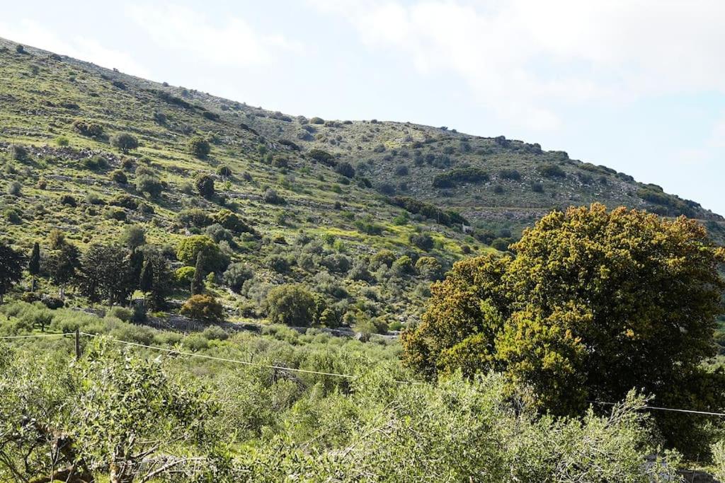 Mountain House Perampela