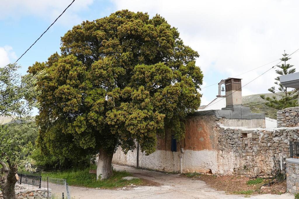Mountain House Perampela