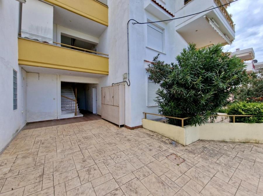 Apartment Calliope photo 1
