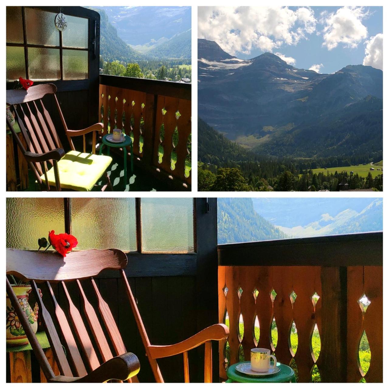 Studio avec vue splendide sur les Diablerets