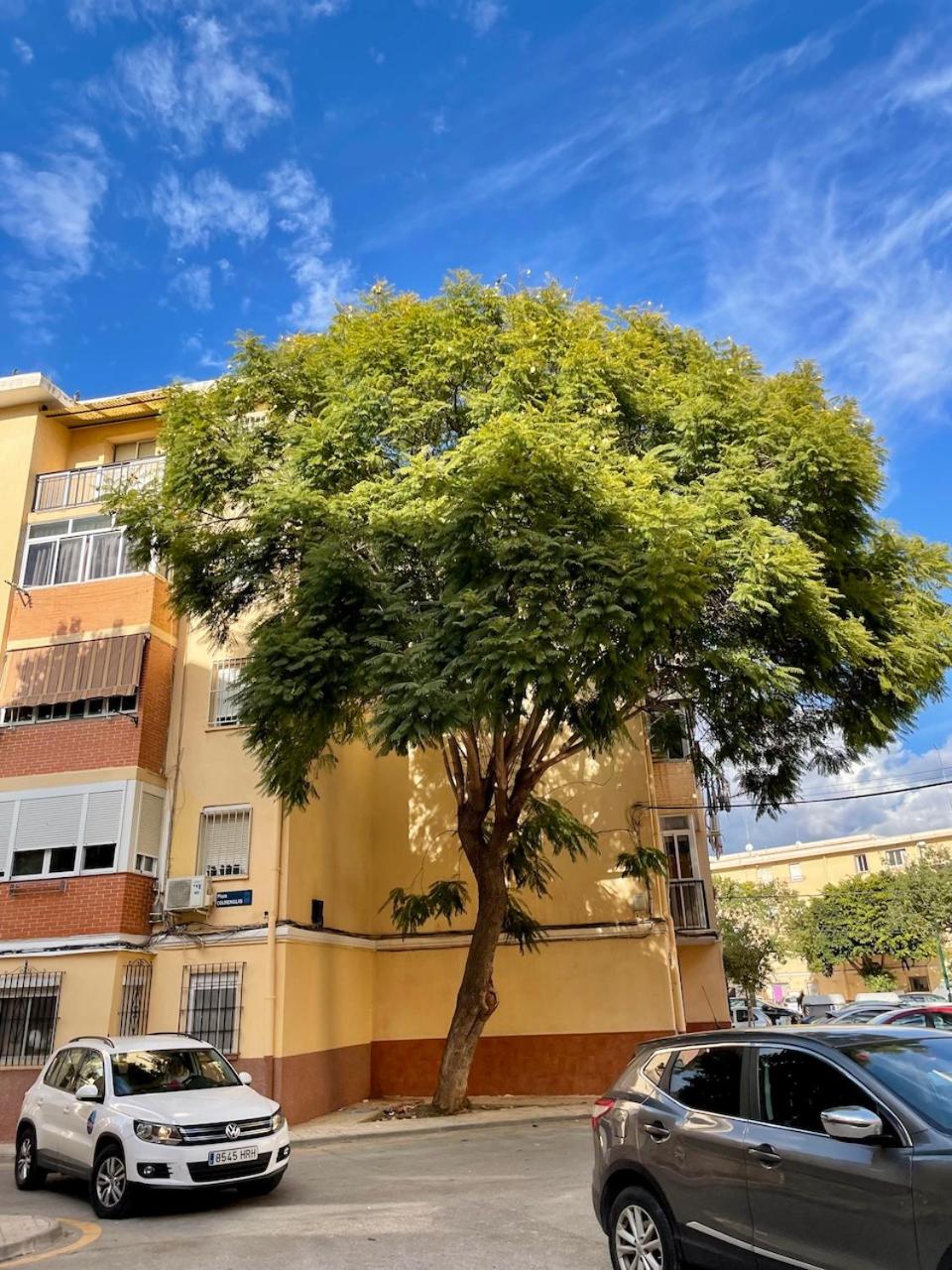Apartment Plaza Colmenillas