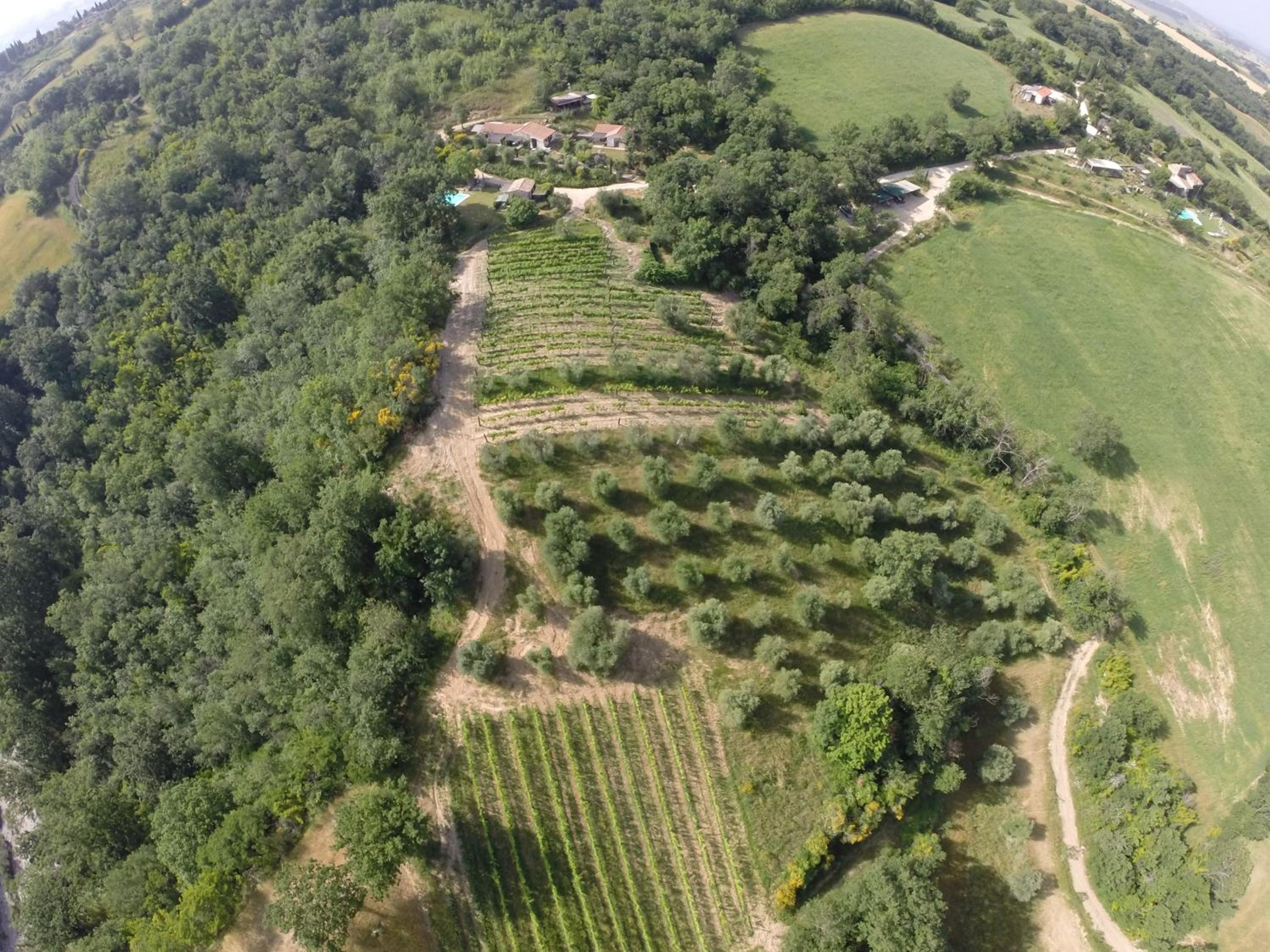 Agriturismo Fontenuova