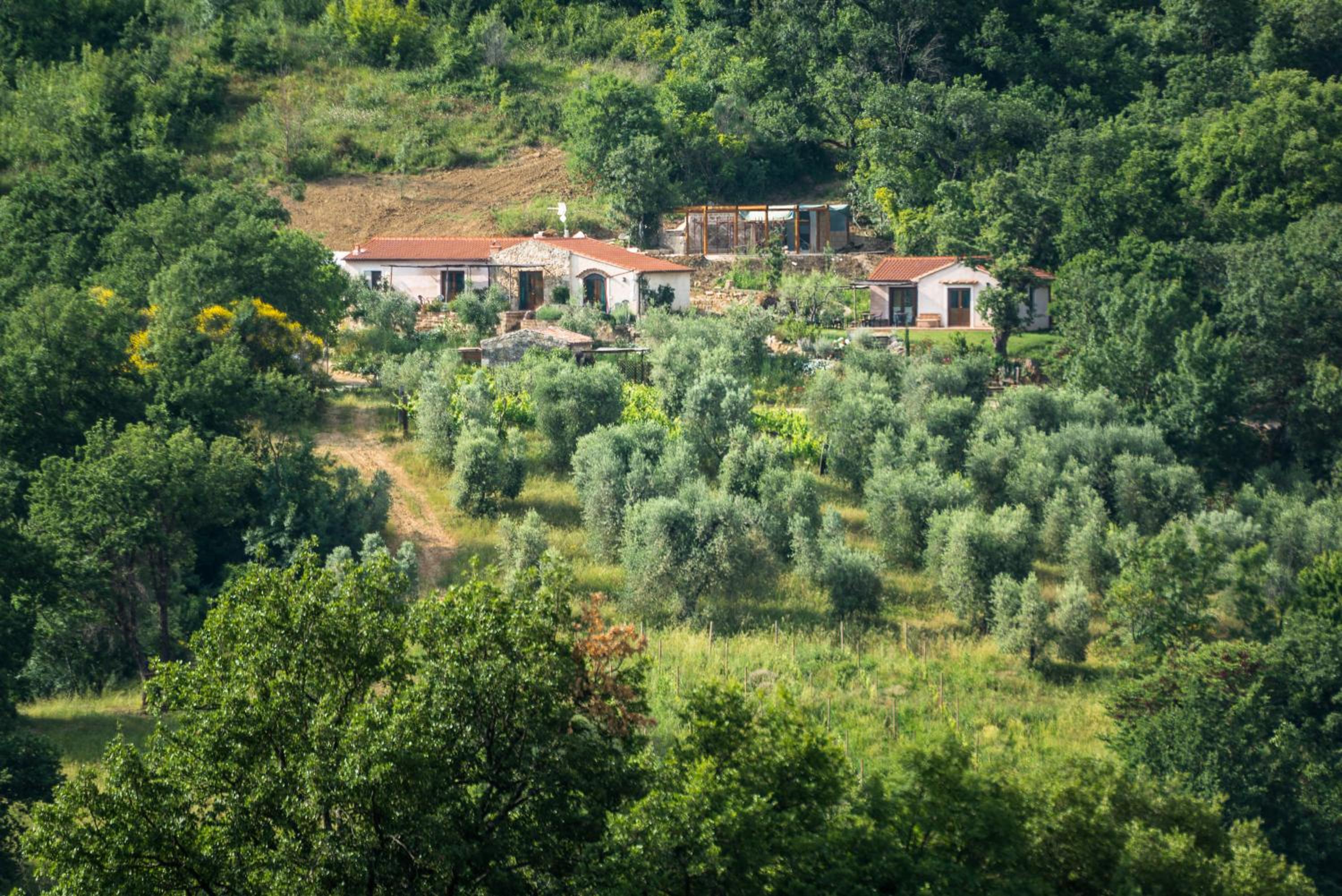 Agriturismo Fontenuova