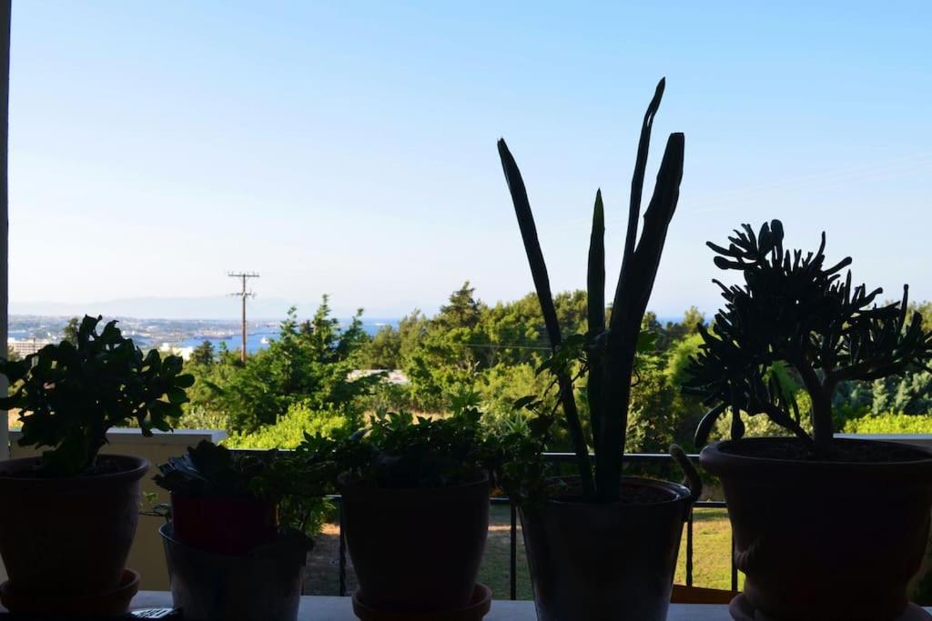 Elektra Apartment-Kallithea