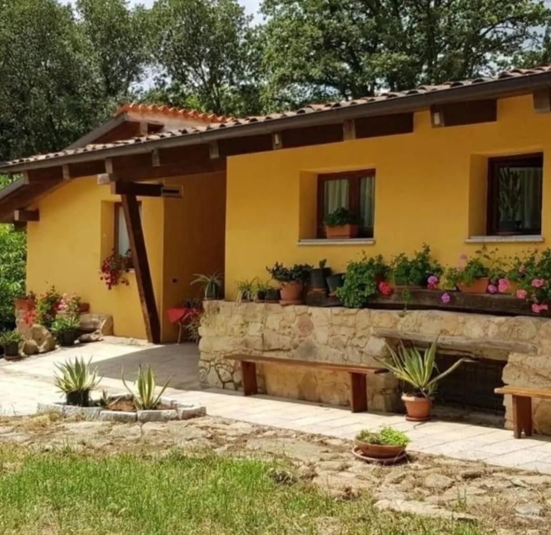 Chalet Domus De Janas immerso nella natura view 2