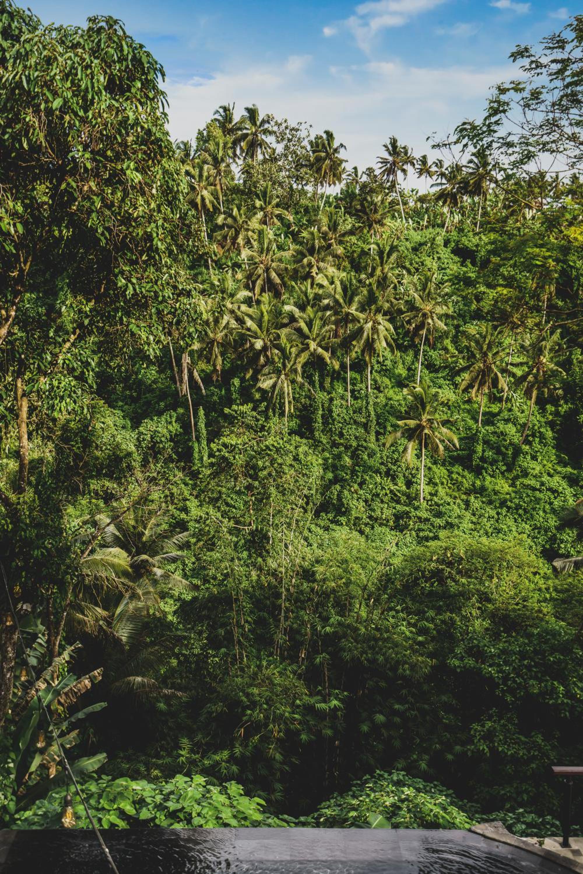 Amora Ubud Boutique Villas