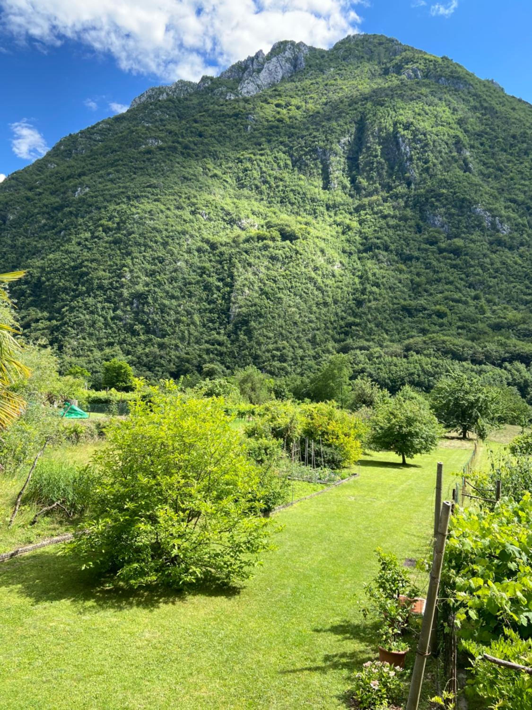 Casa Giulia - Slow Mountain view 5