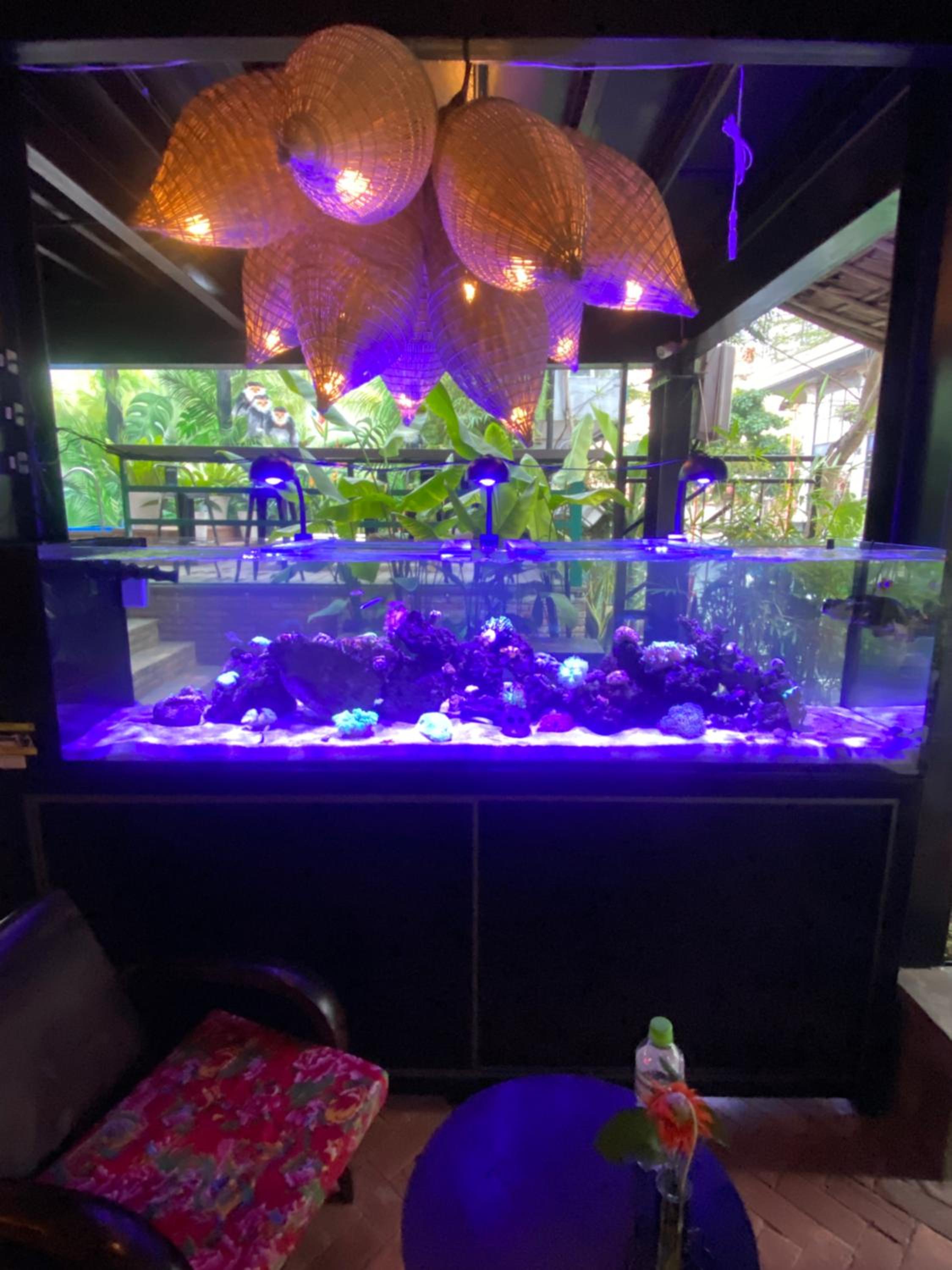 Rom Casa Hostel Da Nang
