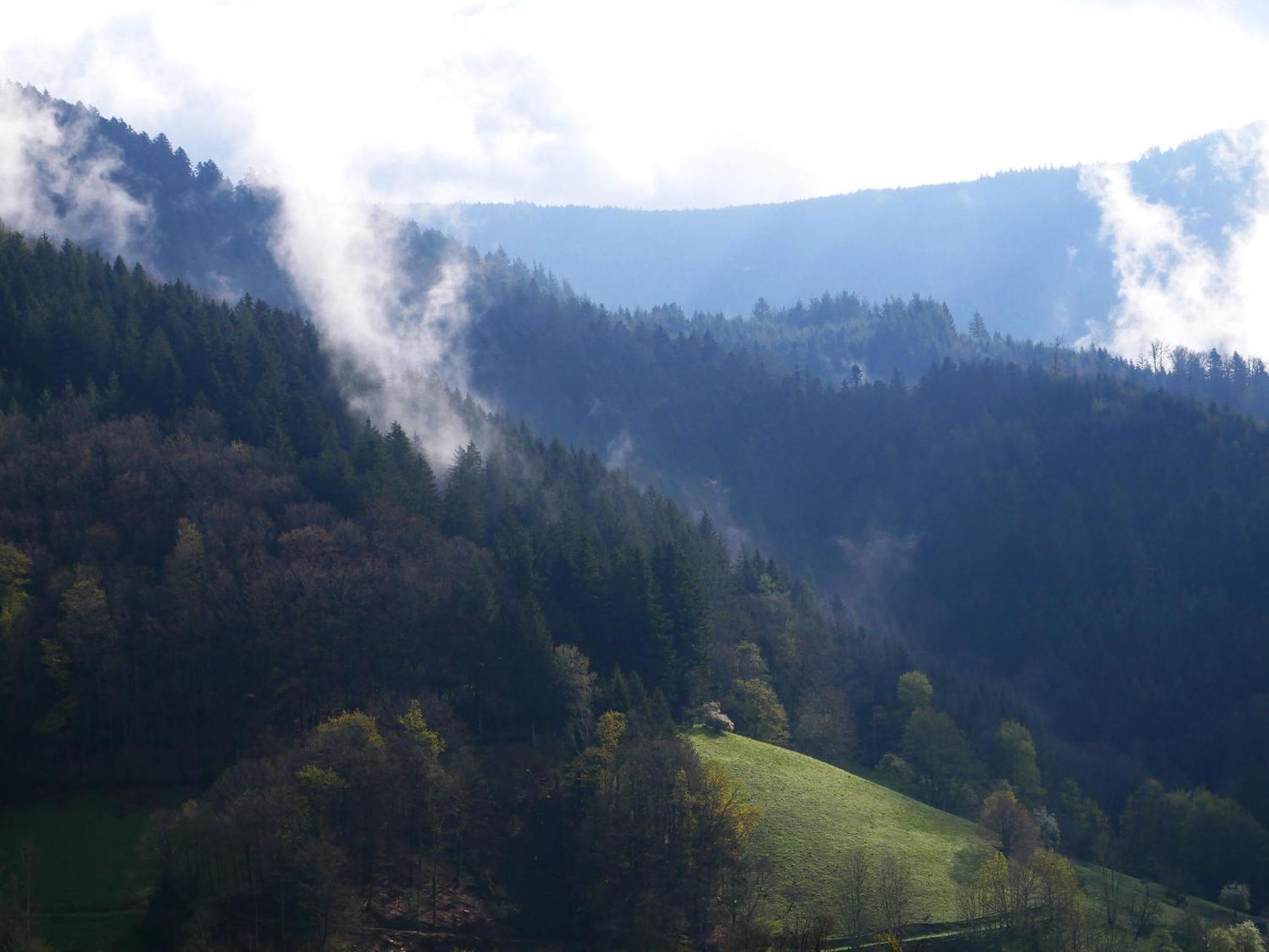 Bühlbauernhof