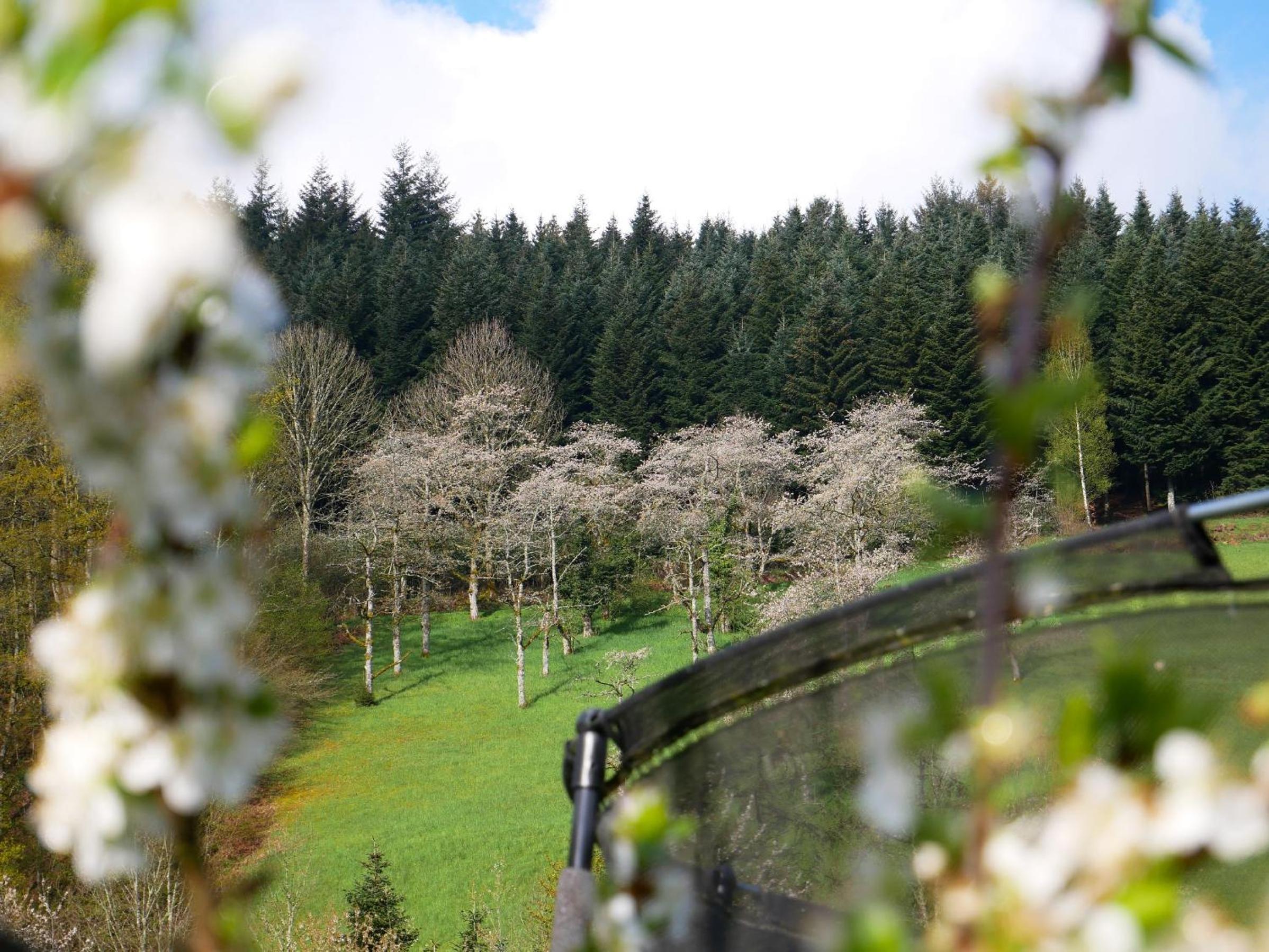Bühlbauernhof