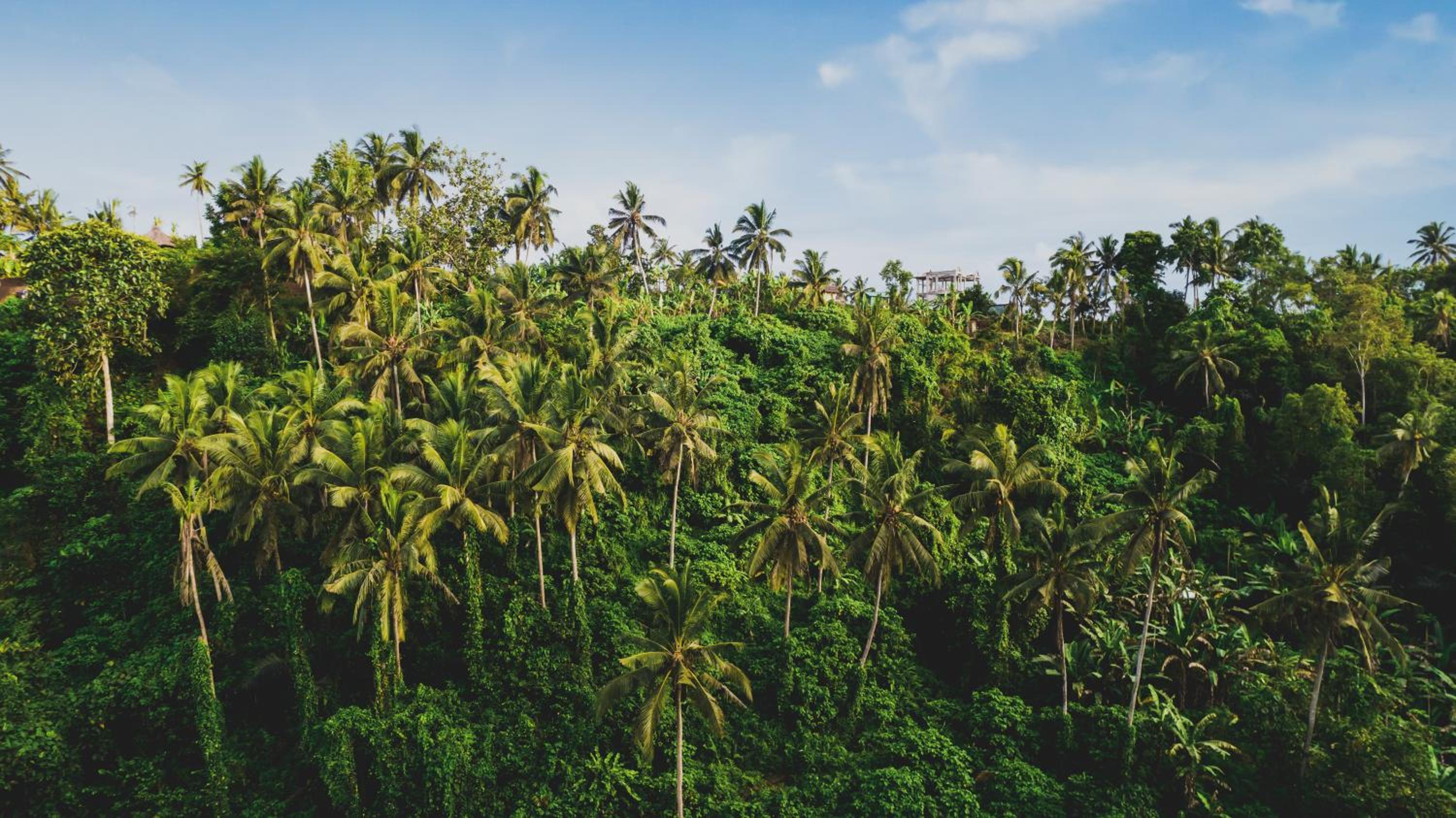 Amora Ubud Boutique Villas
