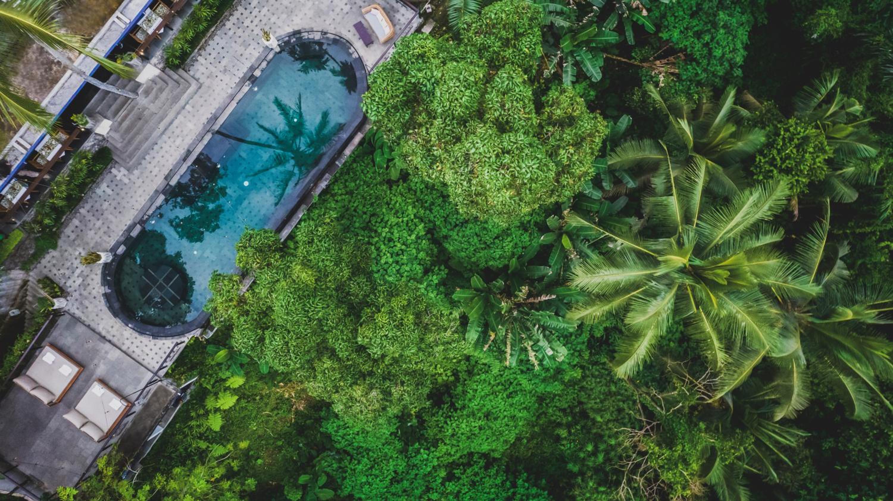 Amora Ubud Boutique Villas