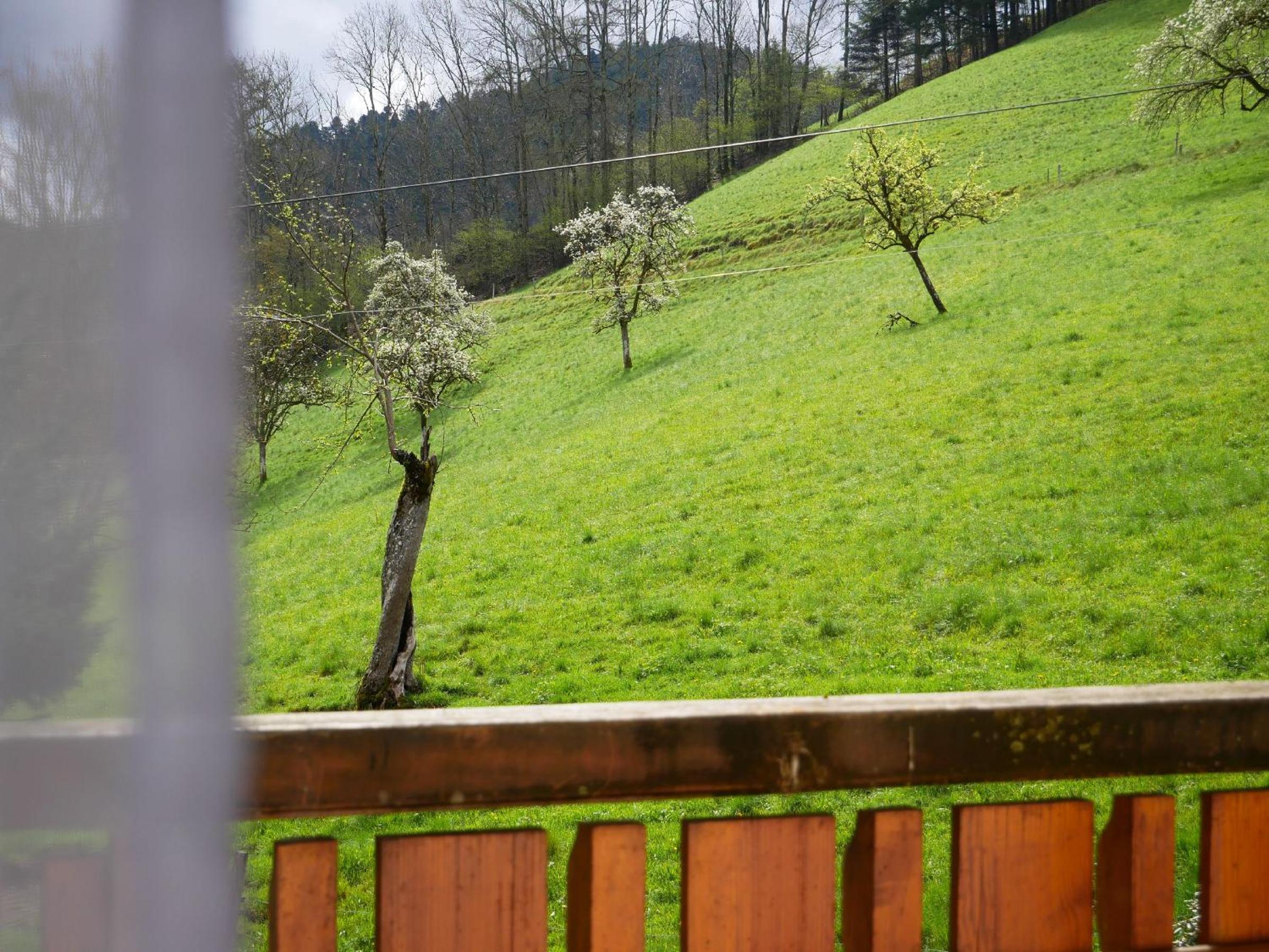 Bühlbauernhof