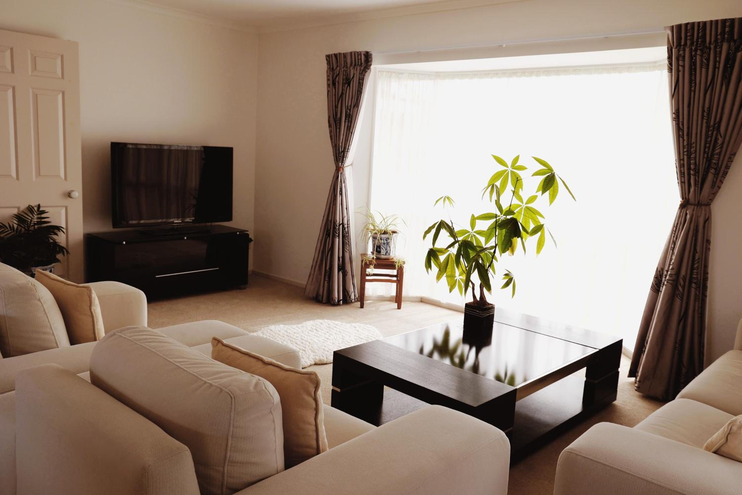 House Located at the centre of East Auckland walking to Botany Westfield Shopping Mall view 4