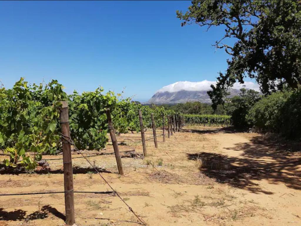 Champagne De Kleijne Bos Pty Ltd