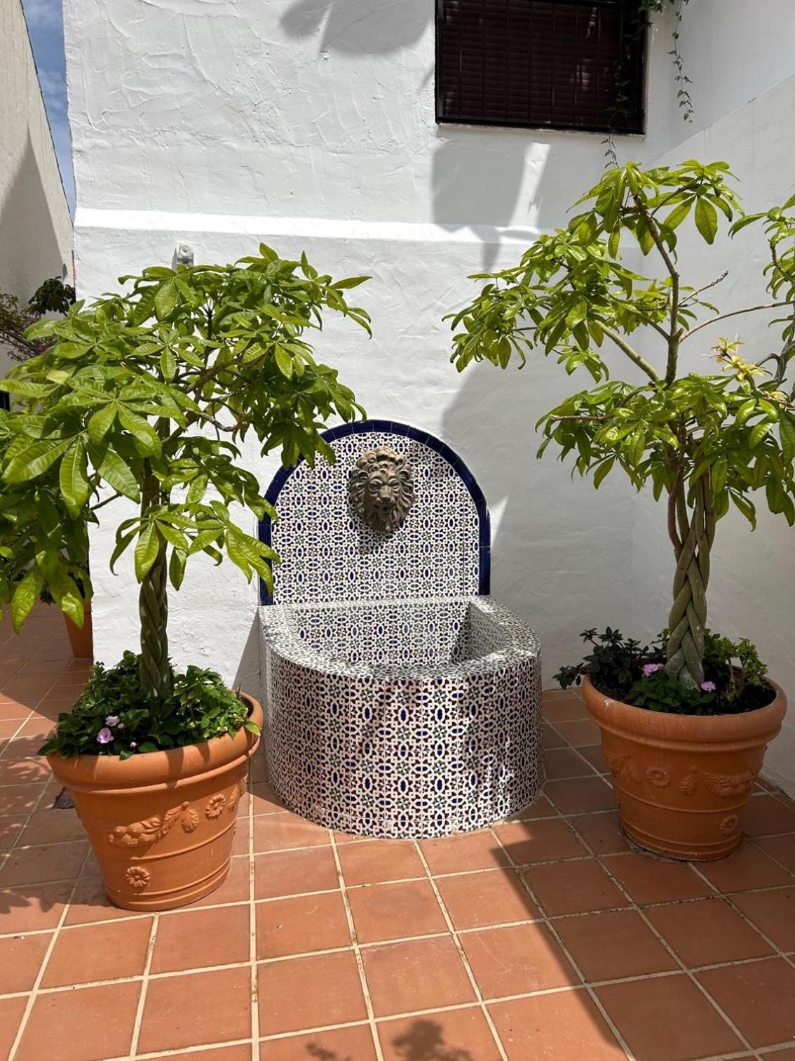 Marbella Vacations - Enjoy Spain - La Maestranza - Property Image 8
