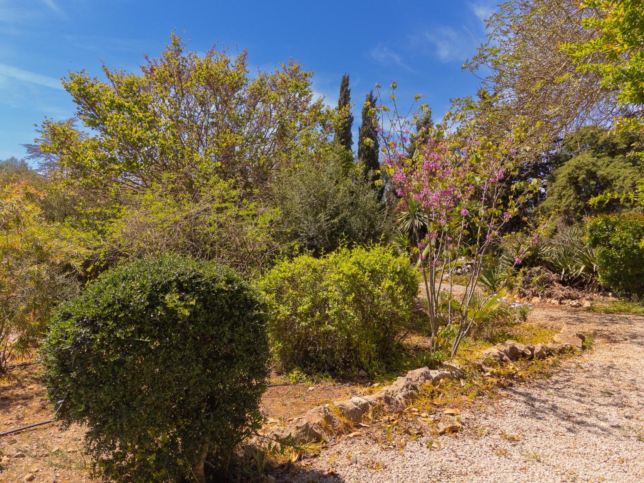 Finca Mal Ric