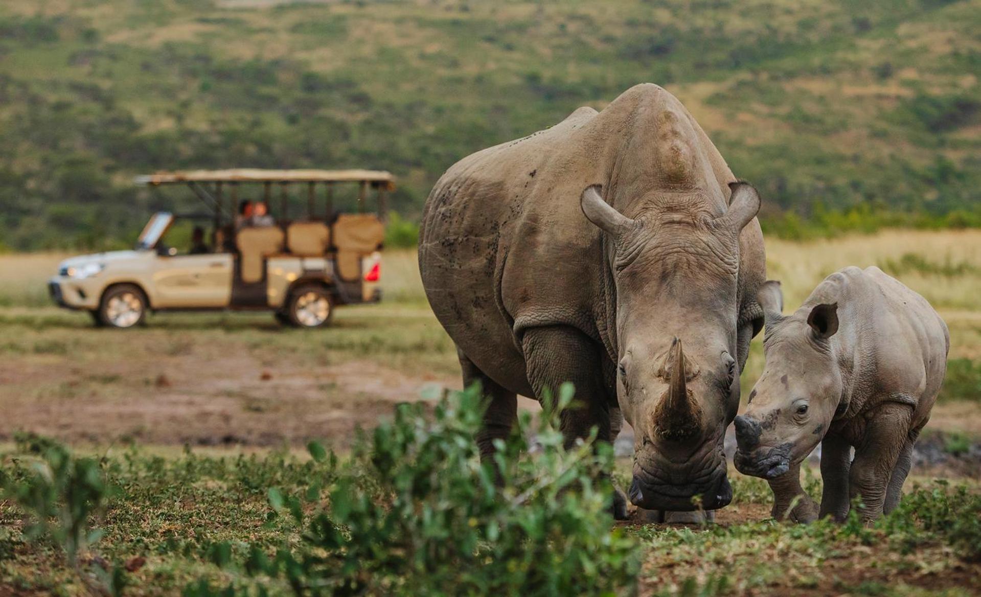 Rhino Ridge Safari Lodge
