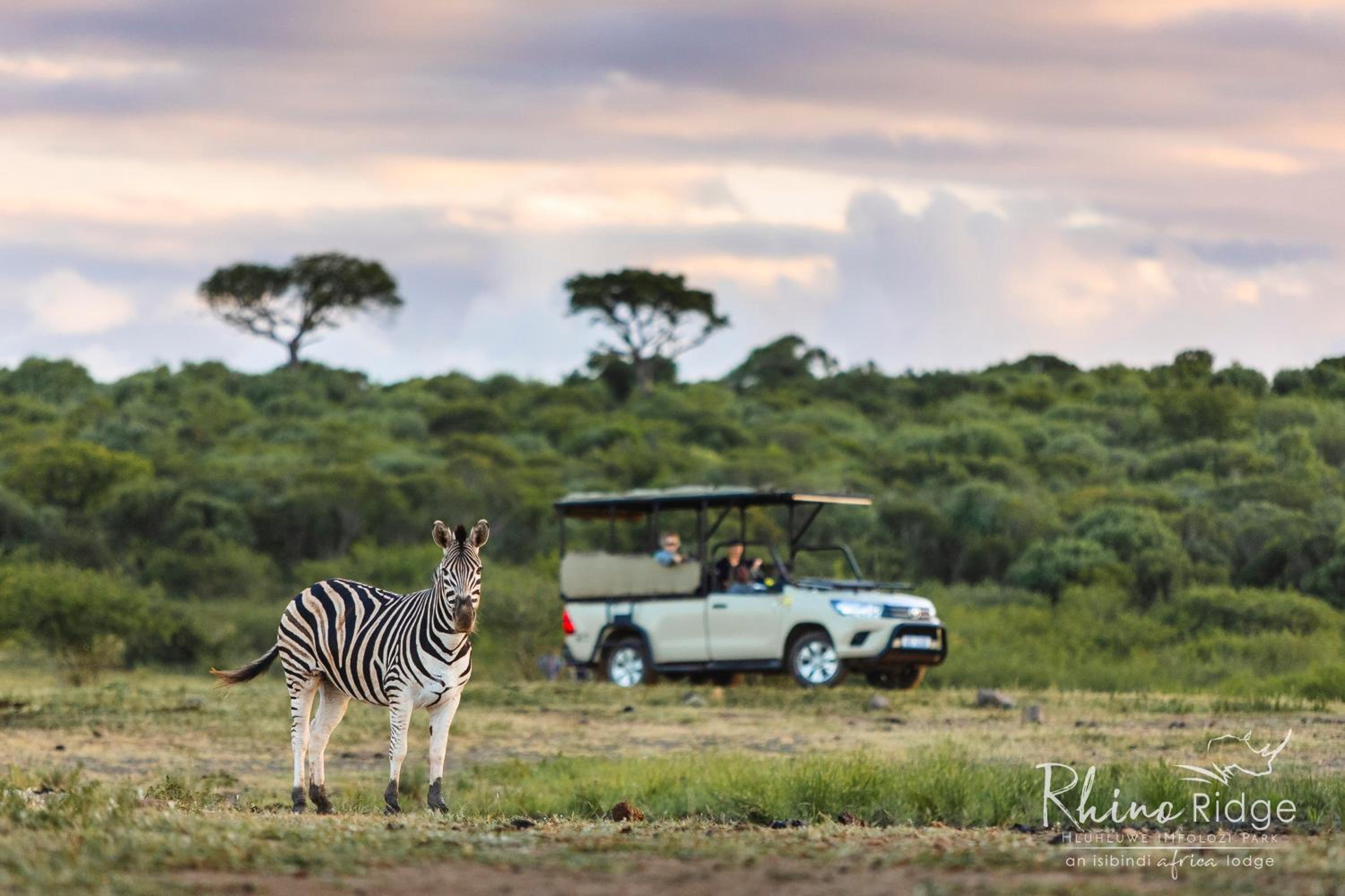 Rhino Ridge Safari Lodge