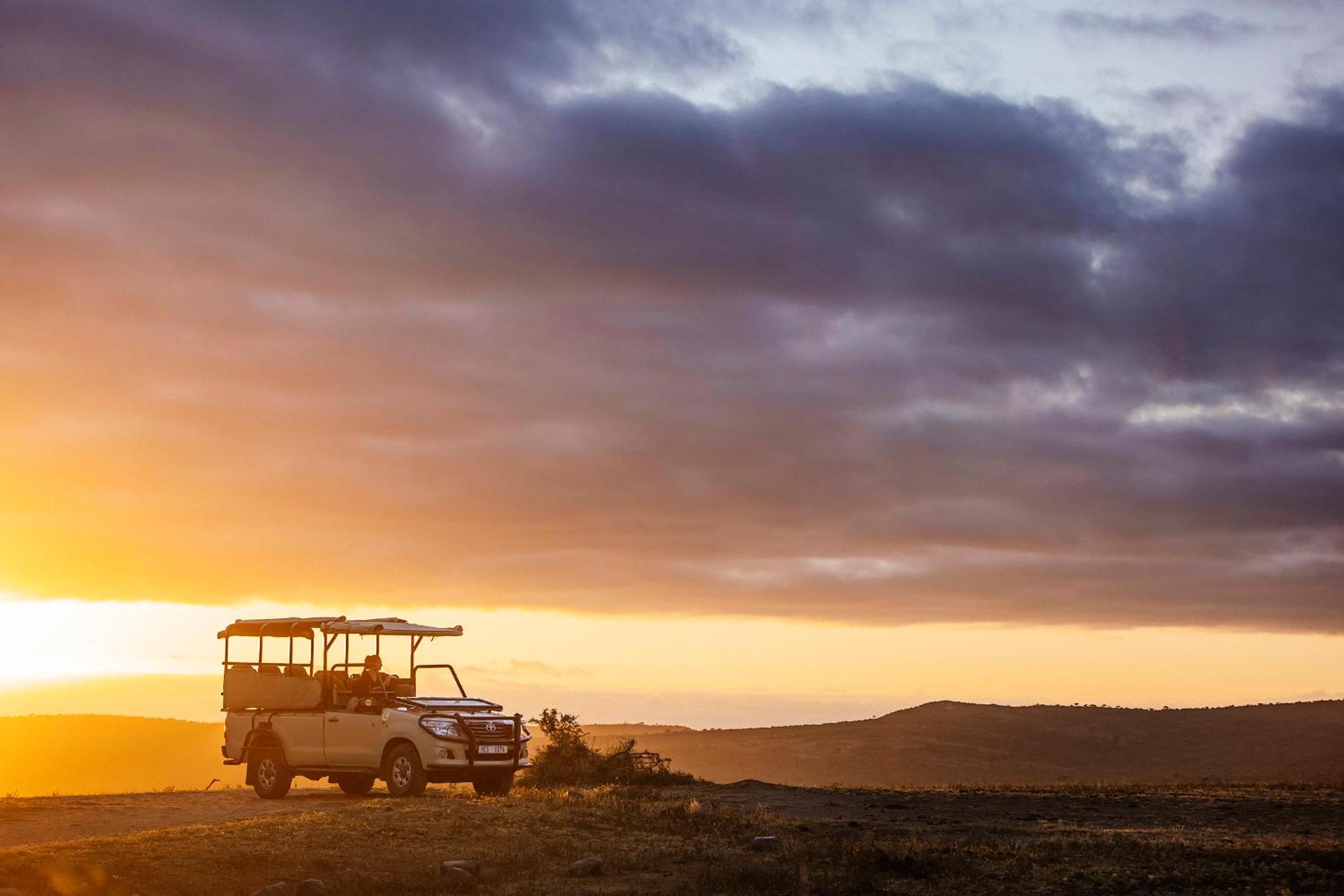 Rhino Ridge Safari Lodge