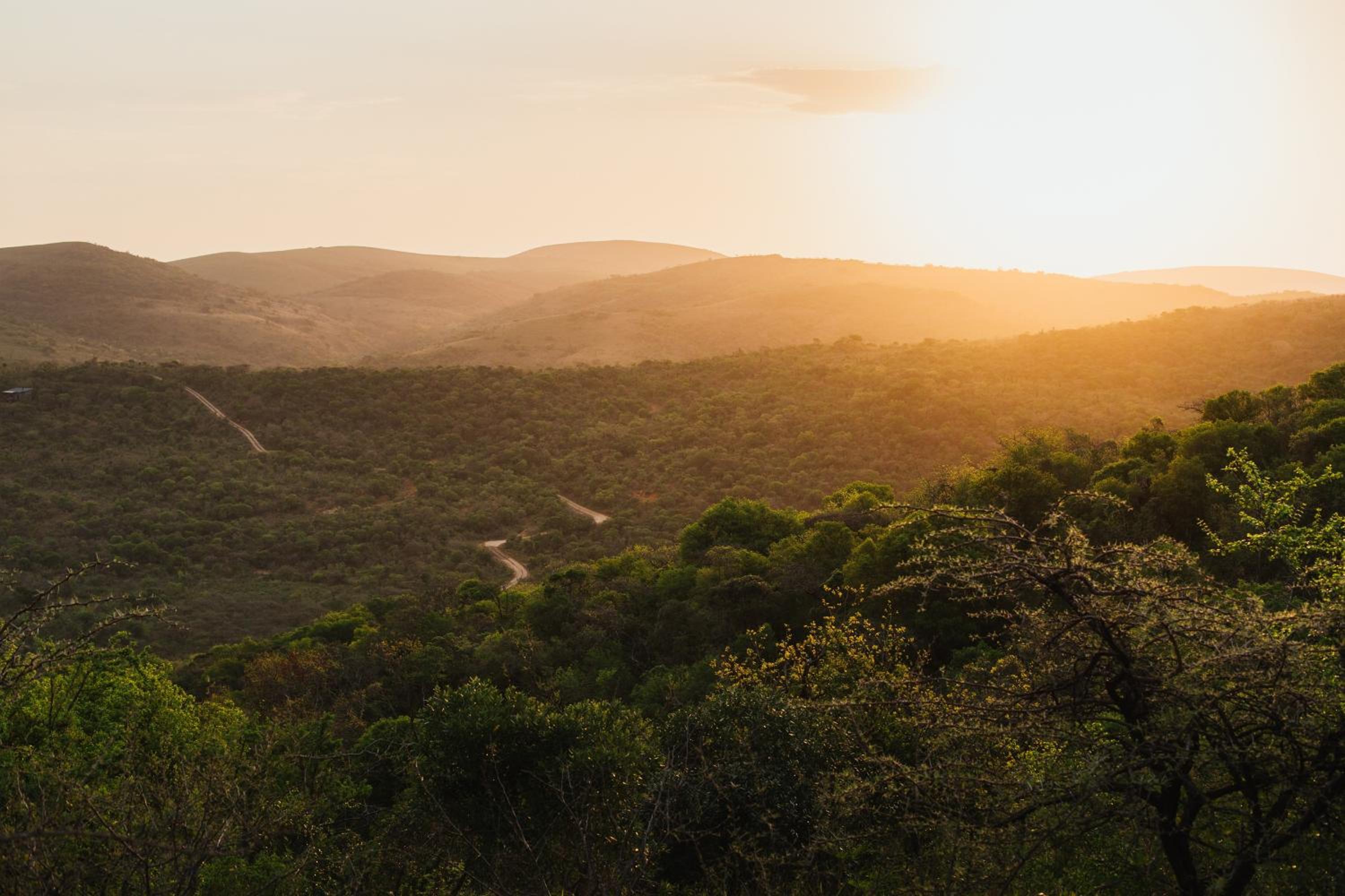 Rhino Ridge Safari Lodge