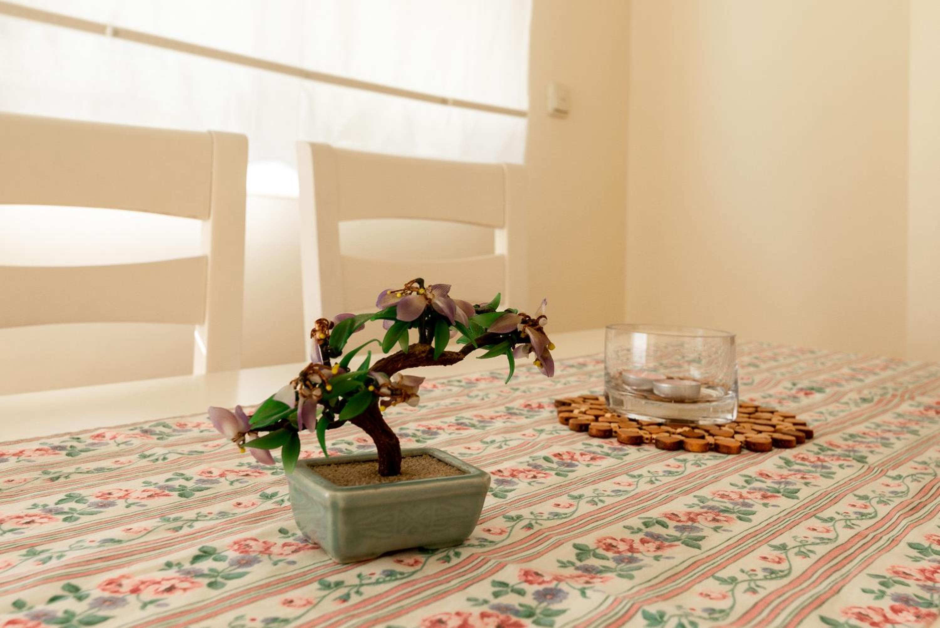 Apartamento Banana