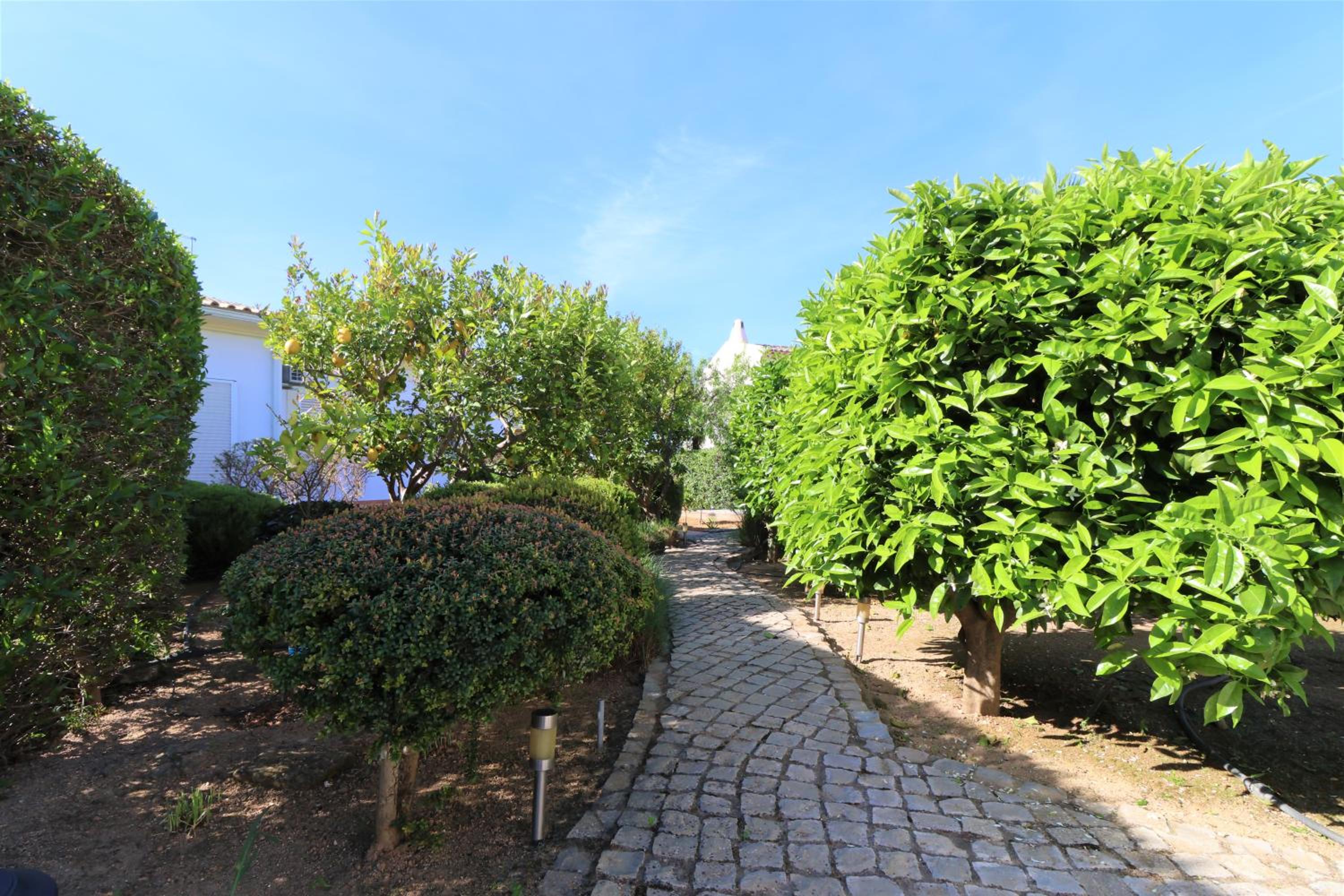 Photo 42