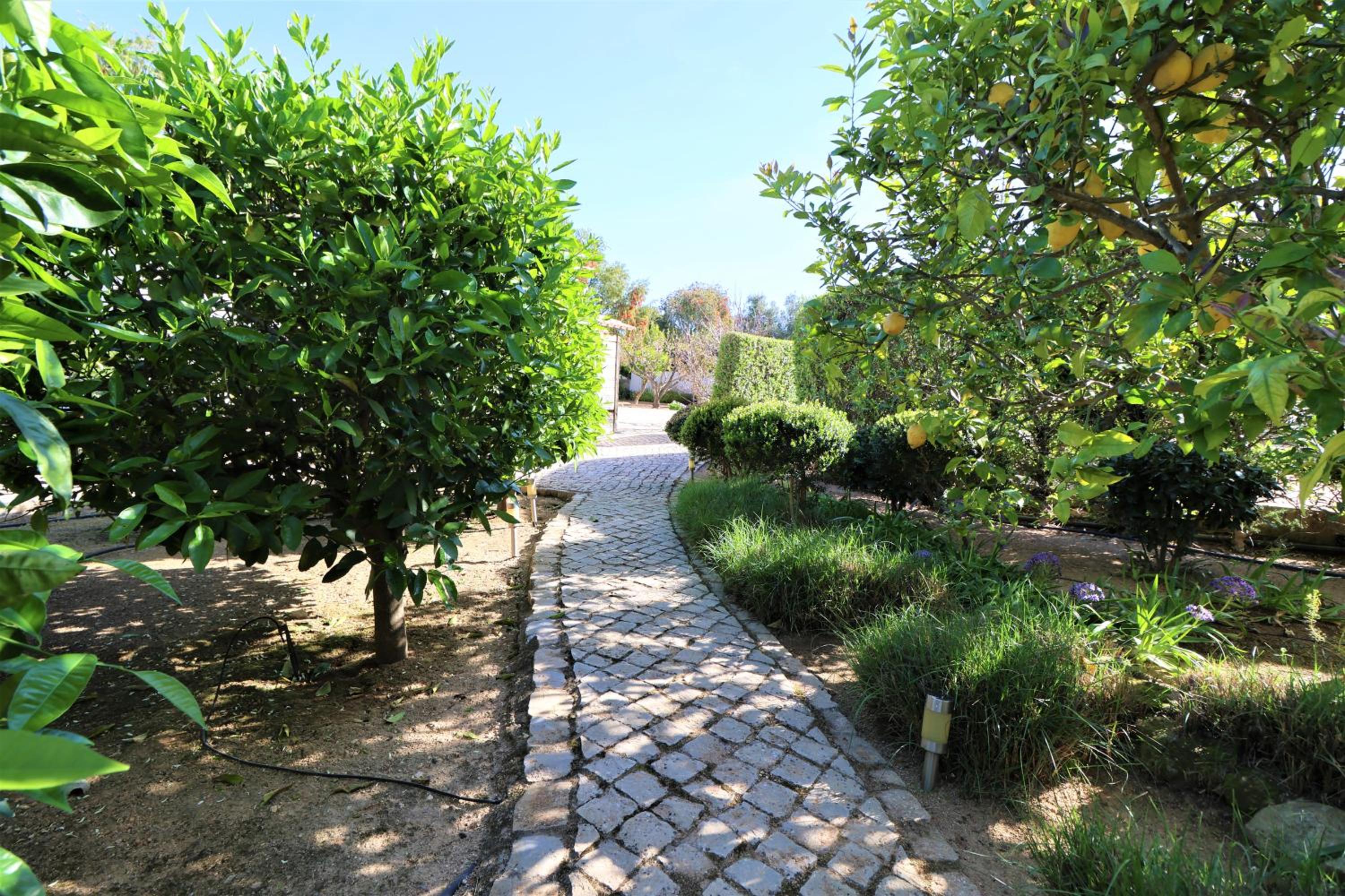 Photo 43
