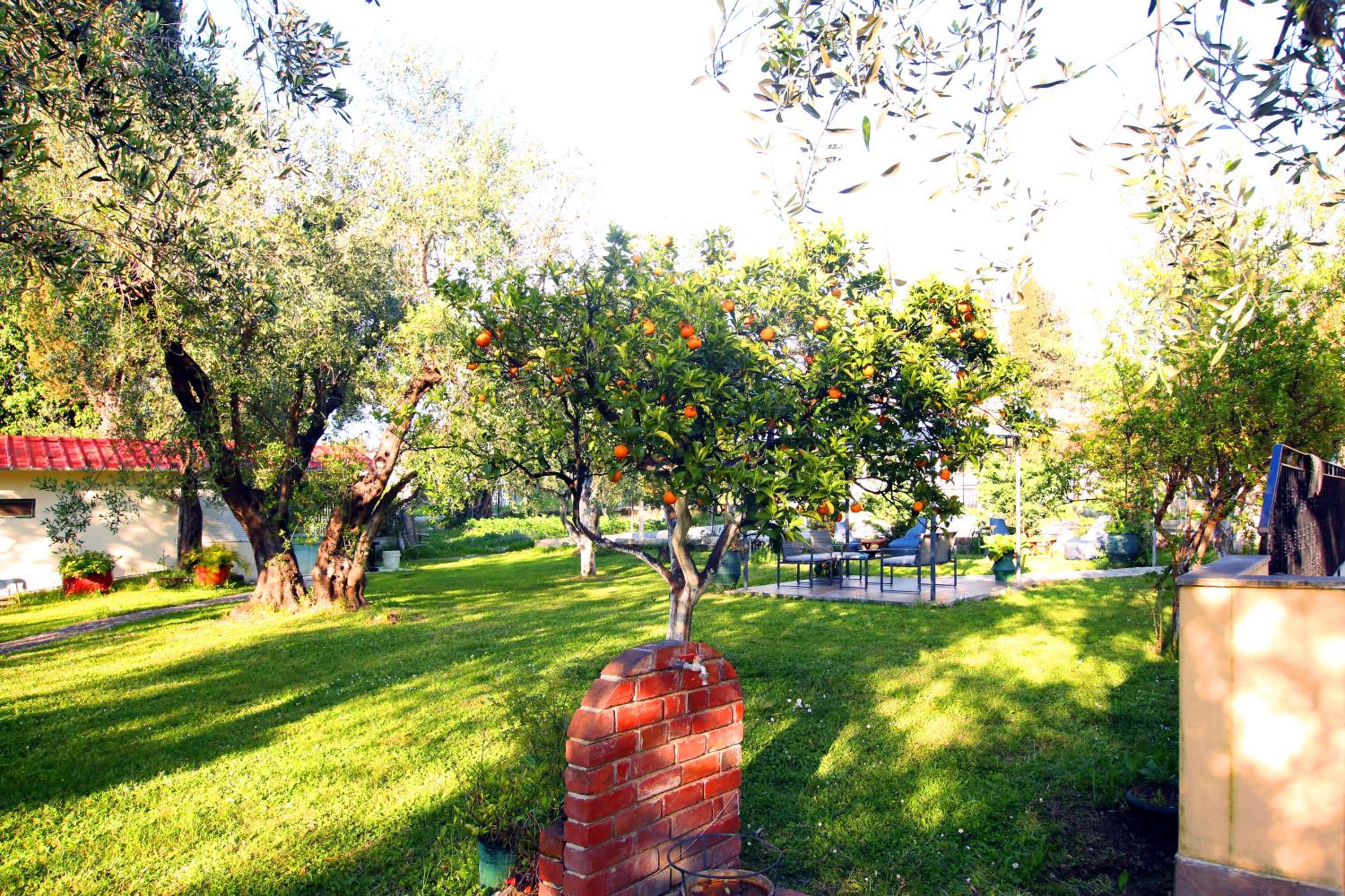 Photo 43