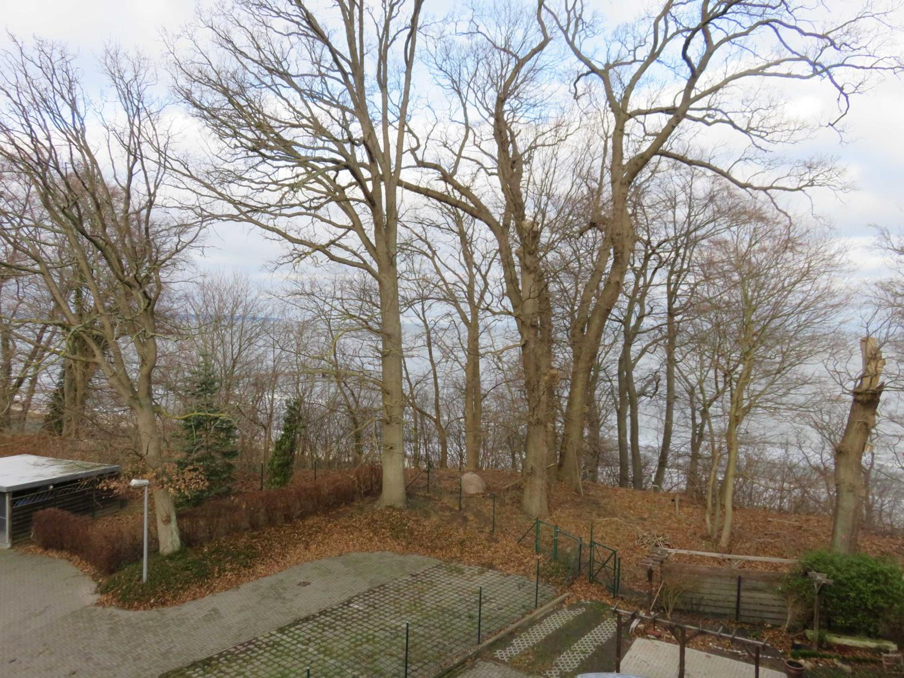 Haus Borgwardt Ferienwohnung 45495