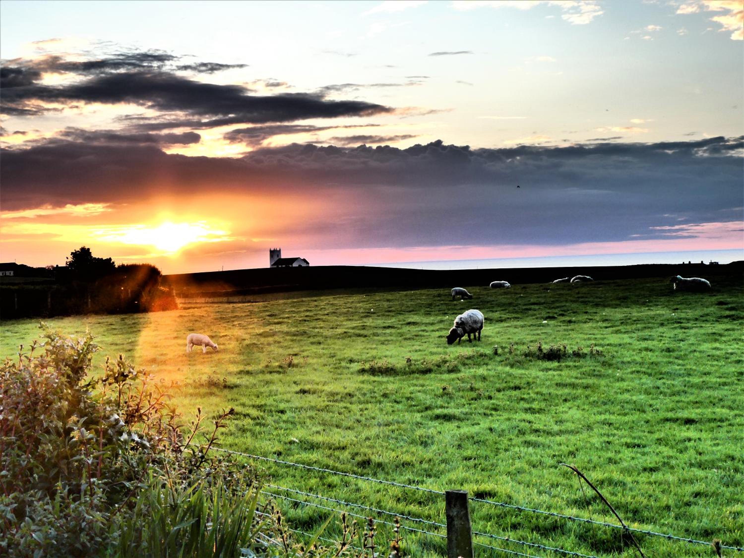 Main Street Cottage, Ballintoy view 2