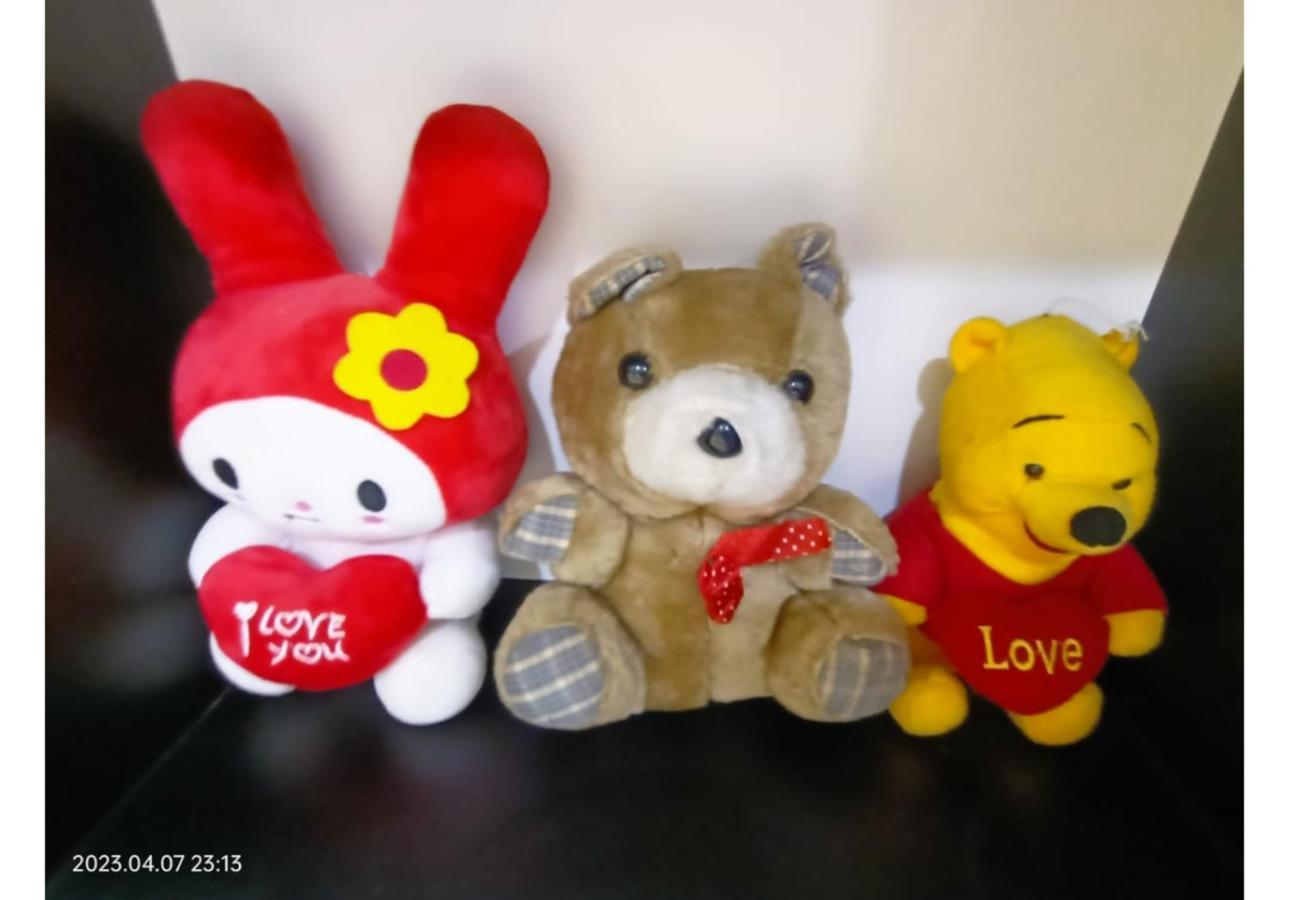 Photo 19