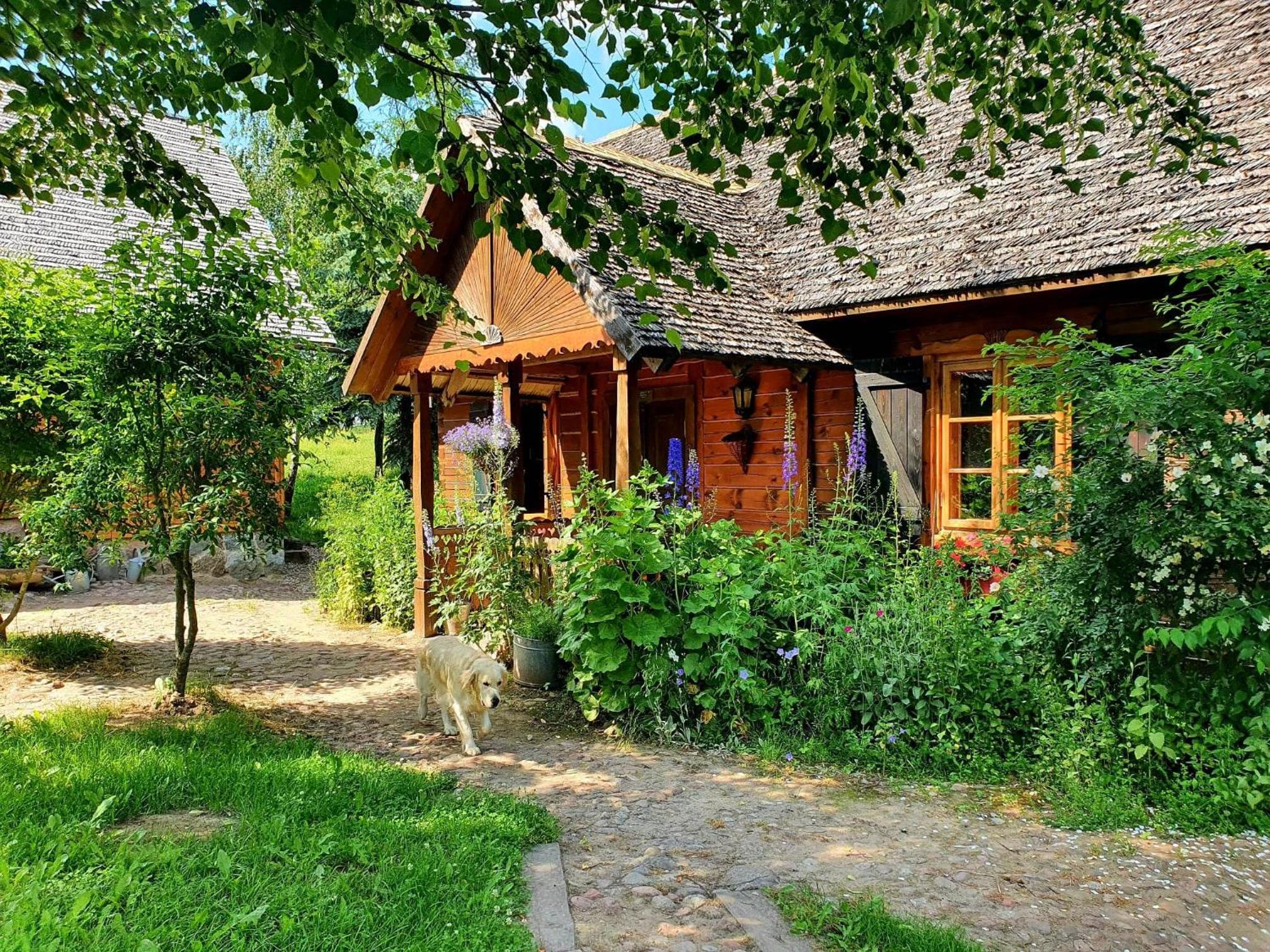 Cisowe Wzgórze view 4
