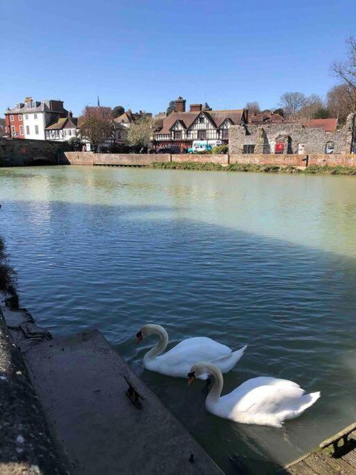 Quirky 1 bedroom barn on the river in Arundel view 4